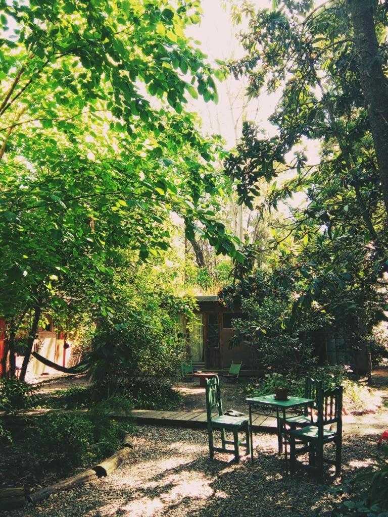 Photo 8