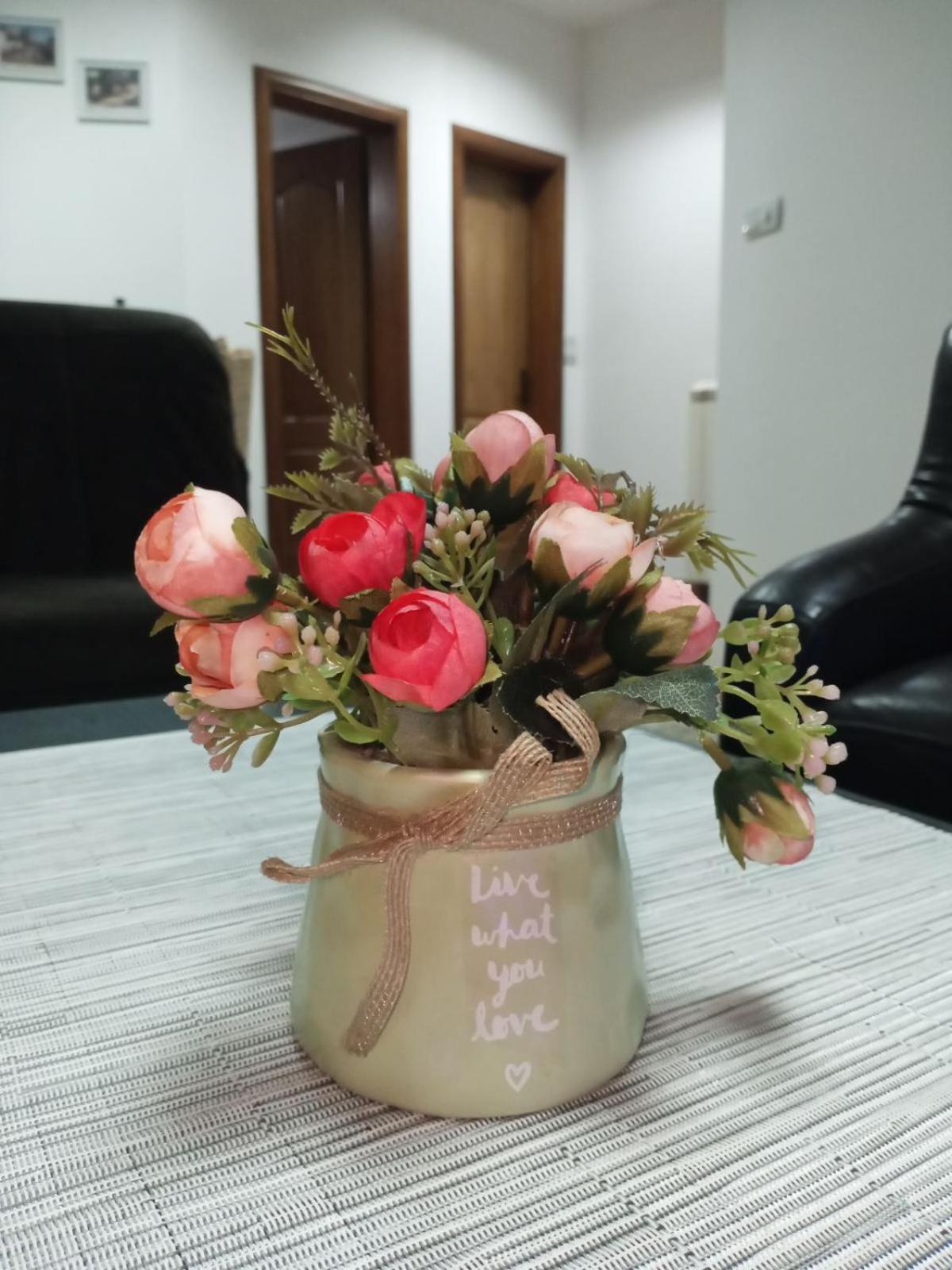 Apartman Mladenovic Center, free parking&wifi