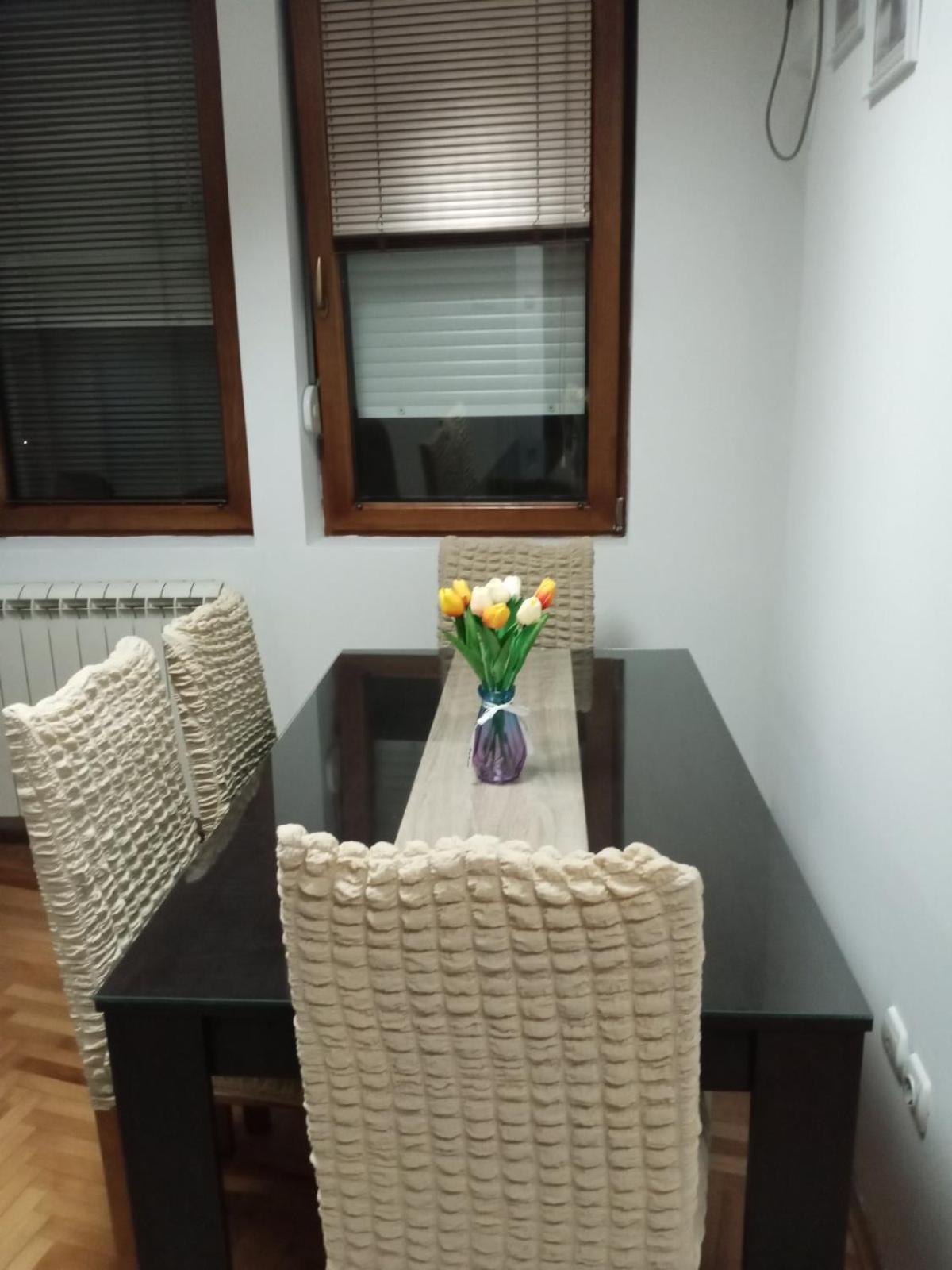 Apartman Mladenovic Center, free parking&wifi, photo 18
