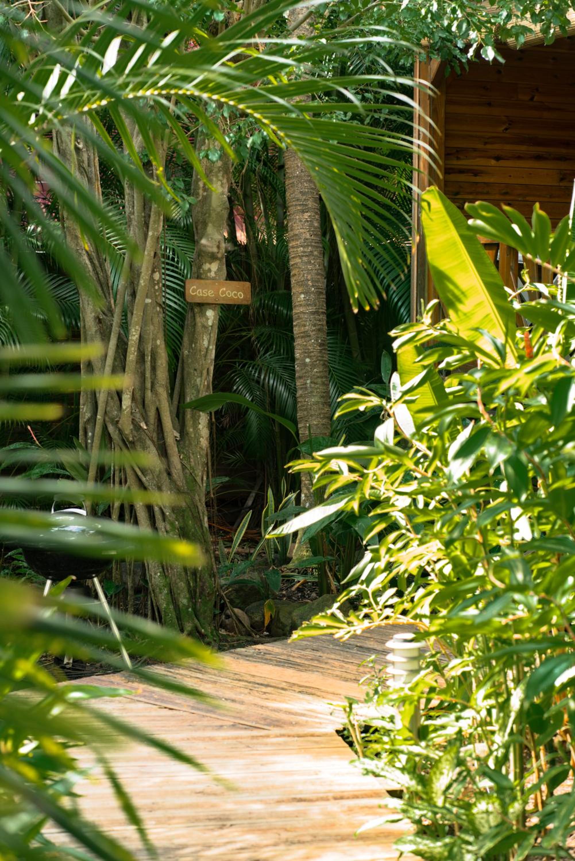 Photo 98
