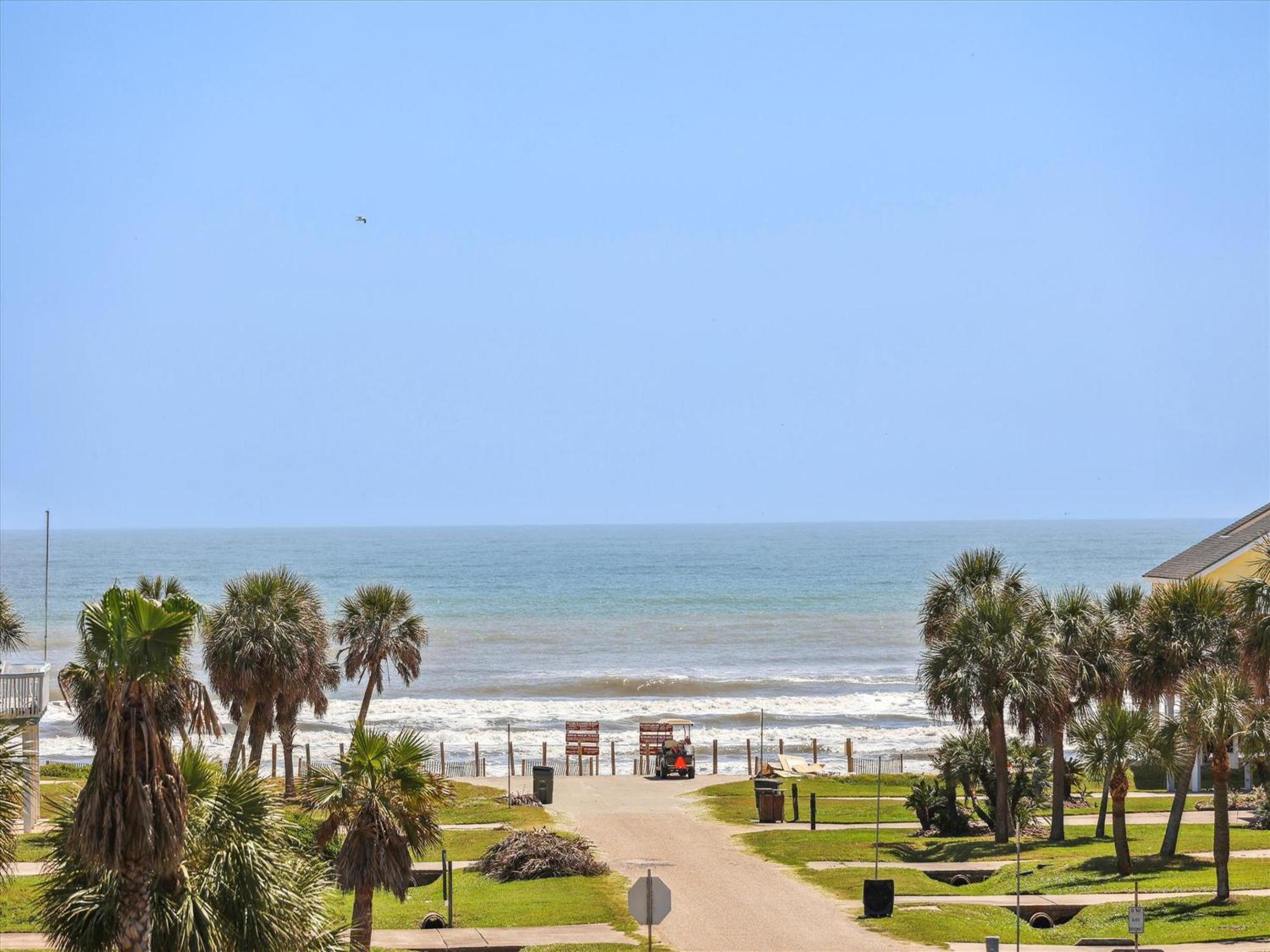 The Fiddler Crab view 3