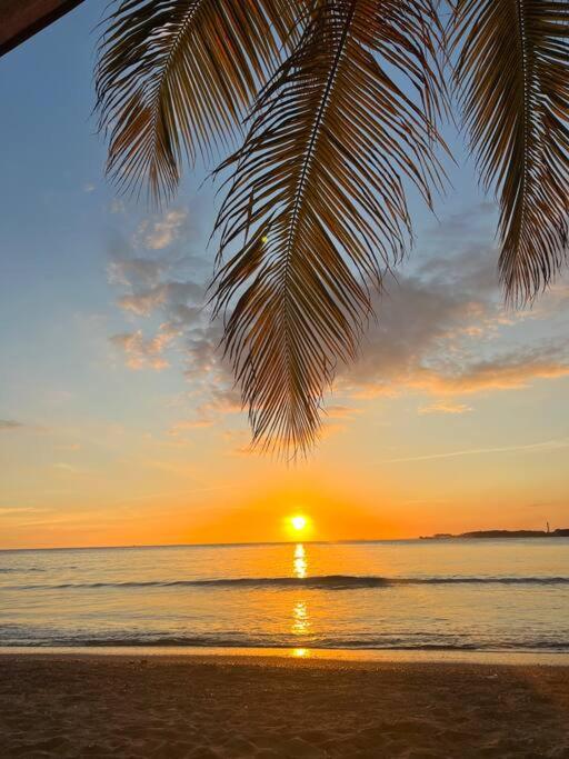 “Oasis Playero: Sol y Mar”