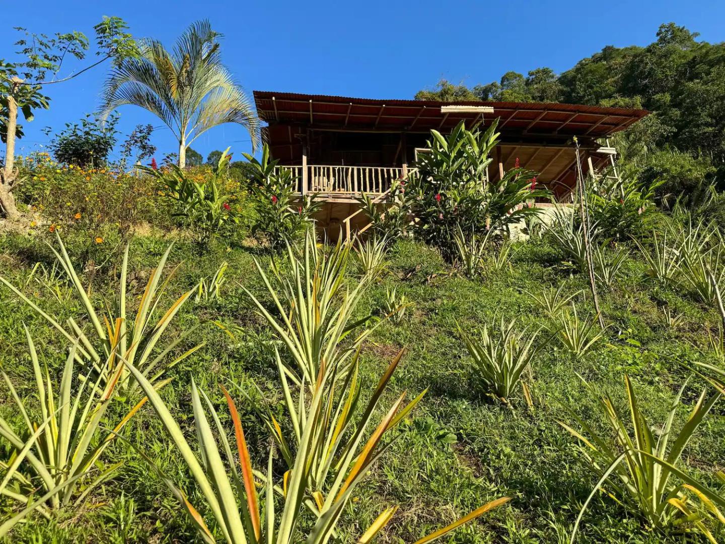 Cinduli Finca Orgánica Cacaotera