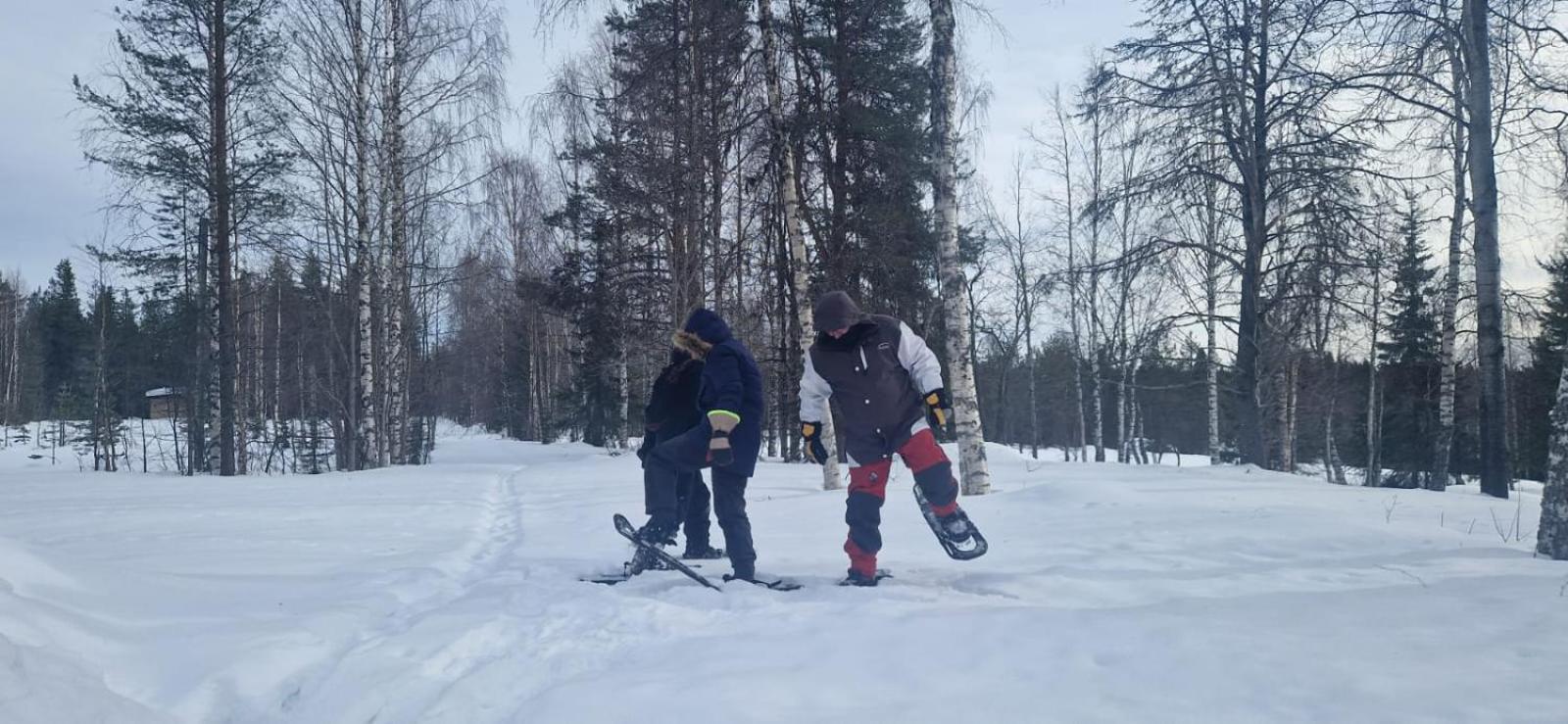 Lapland Old School