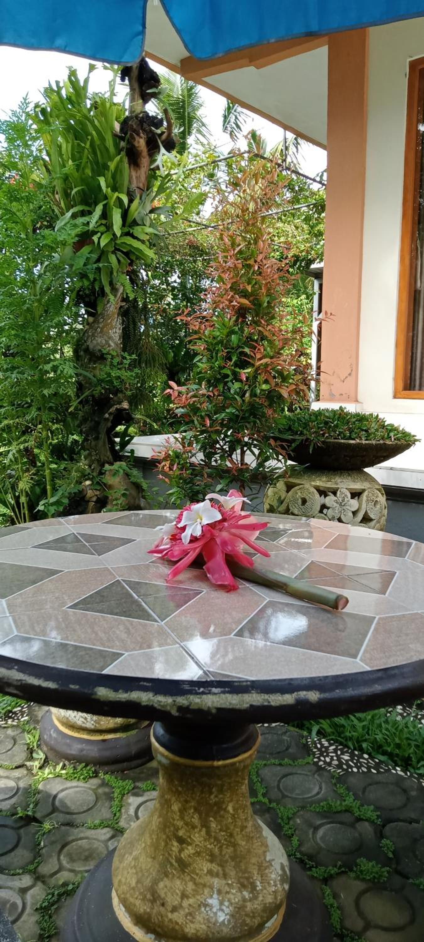 Photo 43