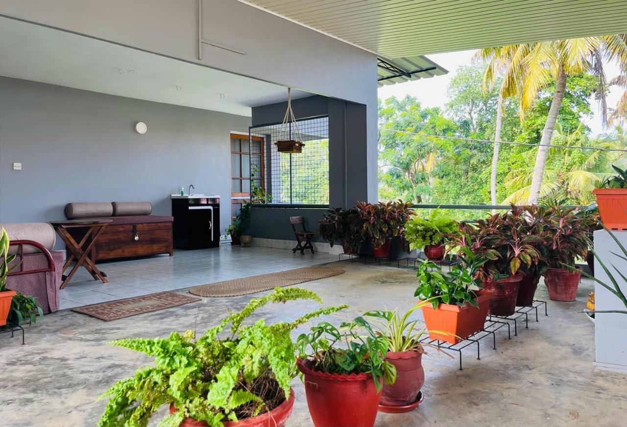 Paul's Tangy Homestay