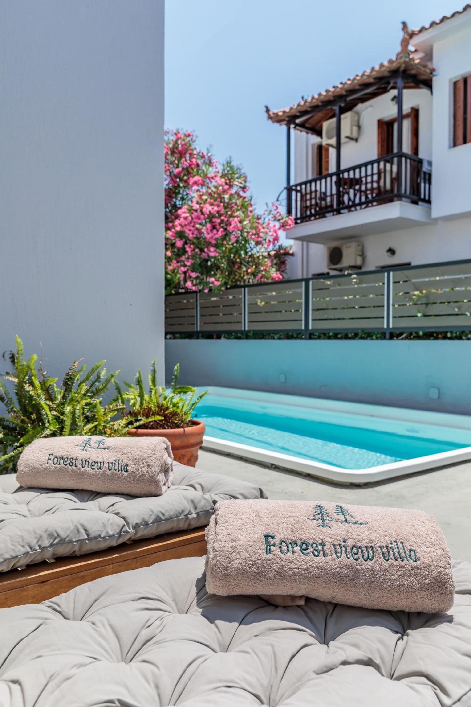 Forest view villa Skopelos view 5