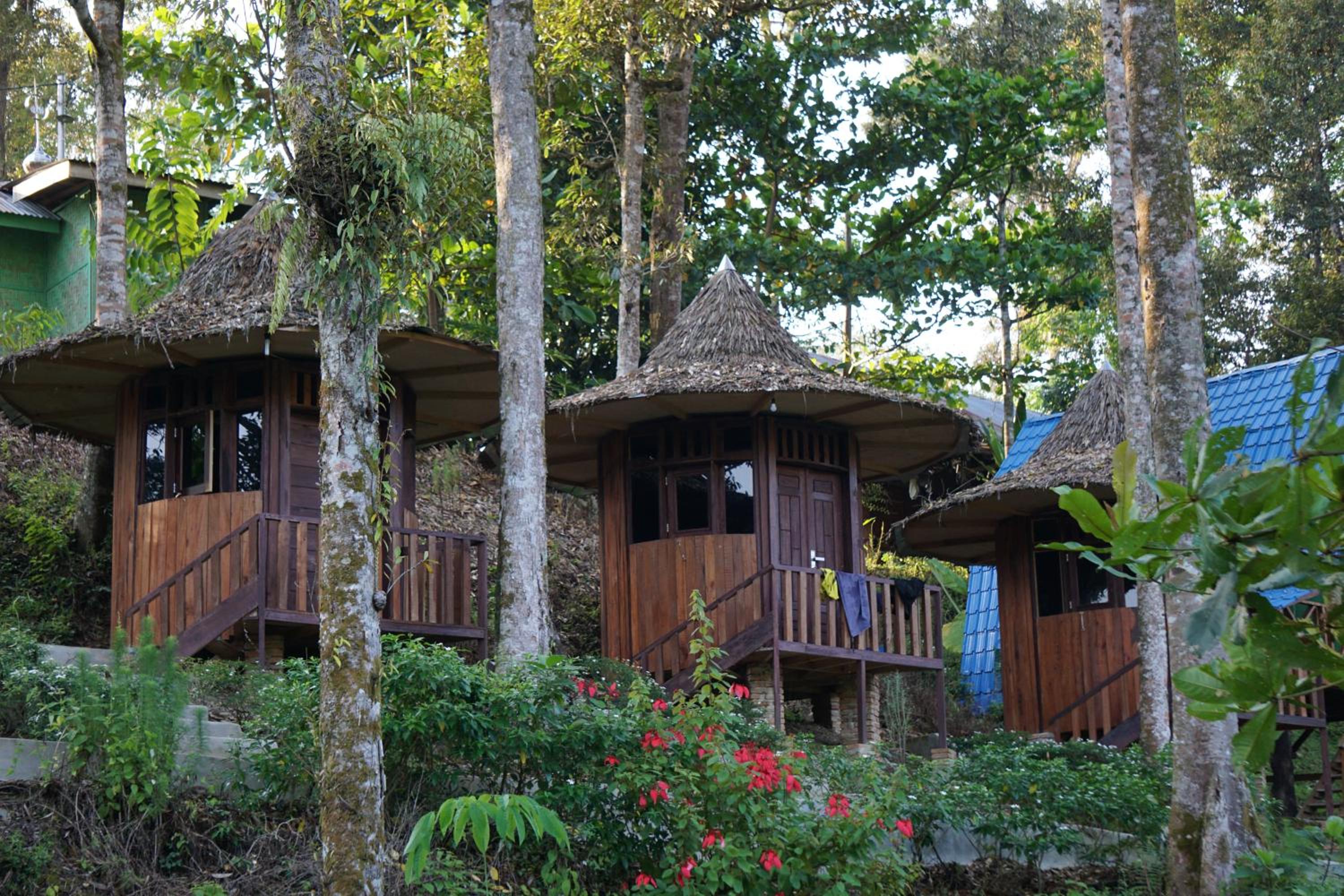 Eco Conservation Landak Luxury Tents view 2