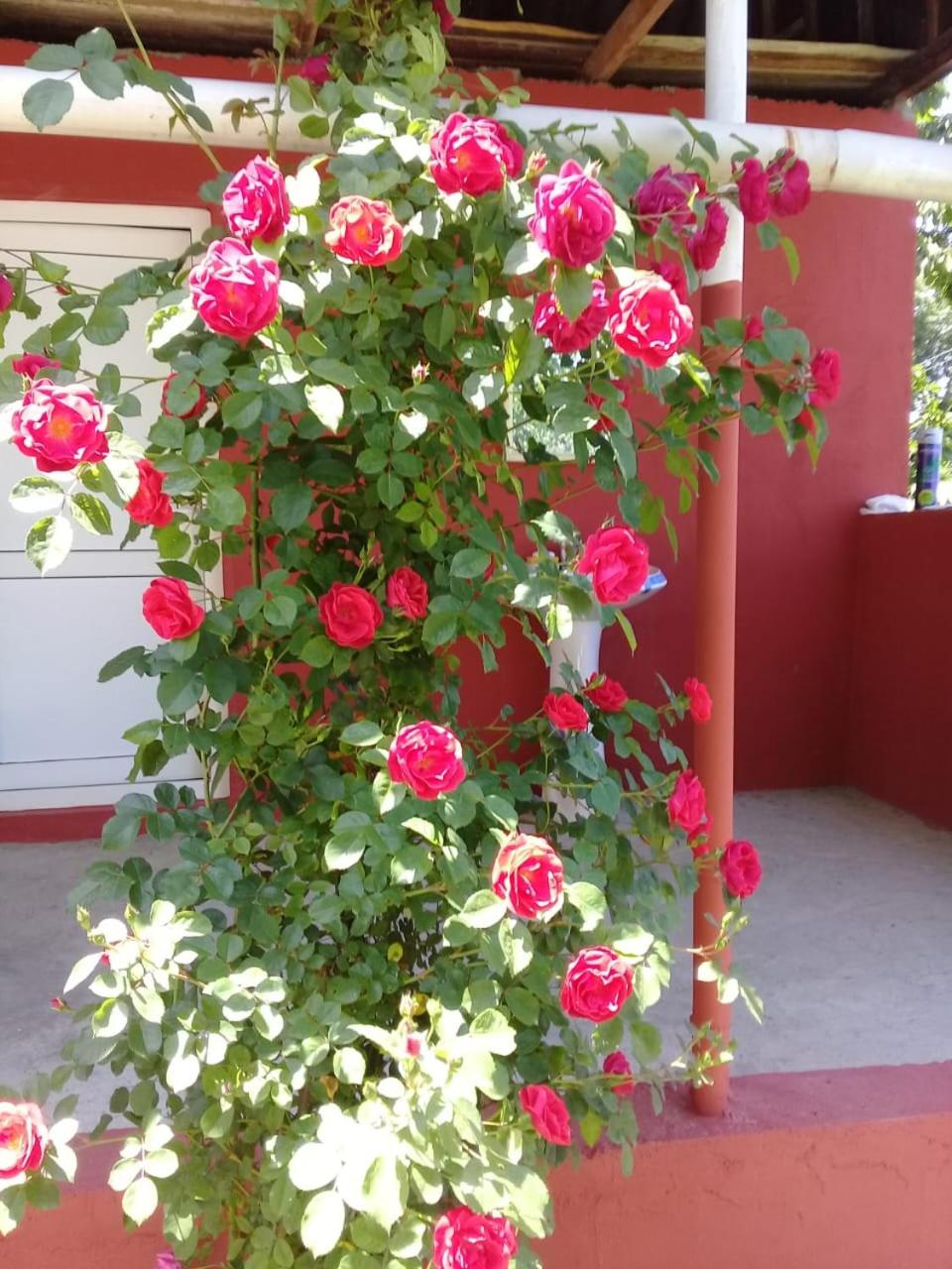 Ismayilli Halal Family Guest House, Ailəvi Bag Evi, Vacation House