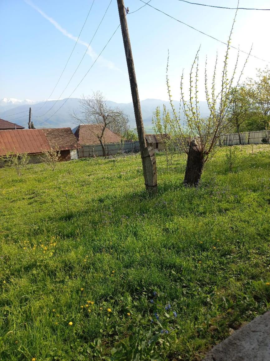 Ismayilli Halal Family Guest House, Ailəvi Bag Evi, Vacation House