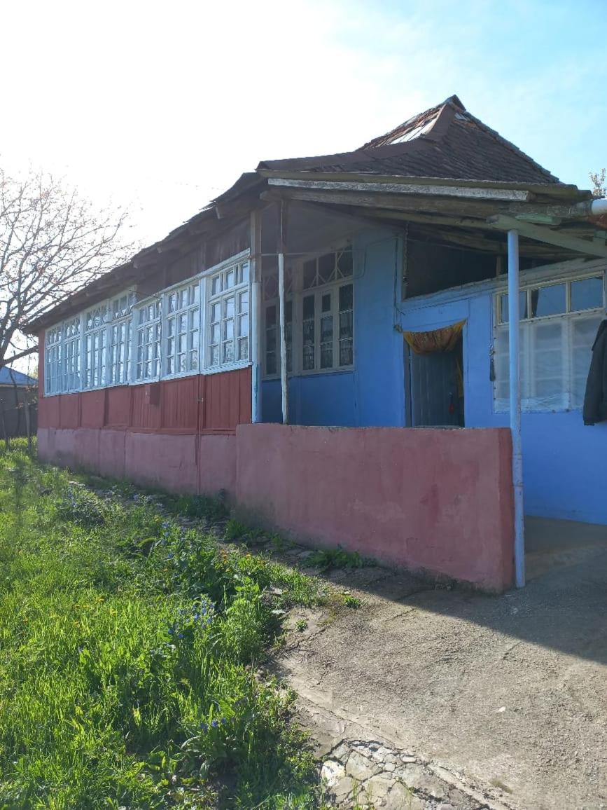 Ismayilli Halal Family Guest House, Ailəvi Bag Evi, Vacation House