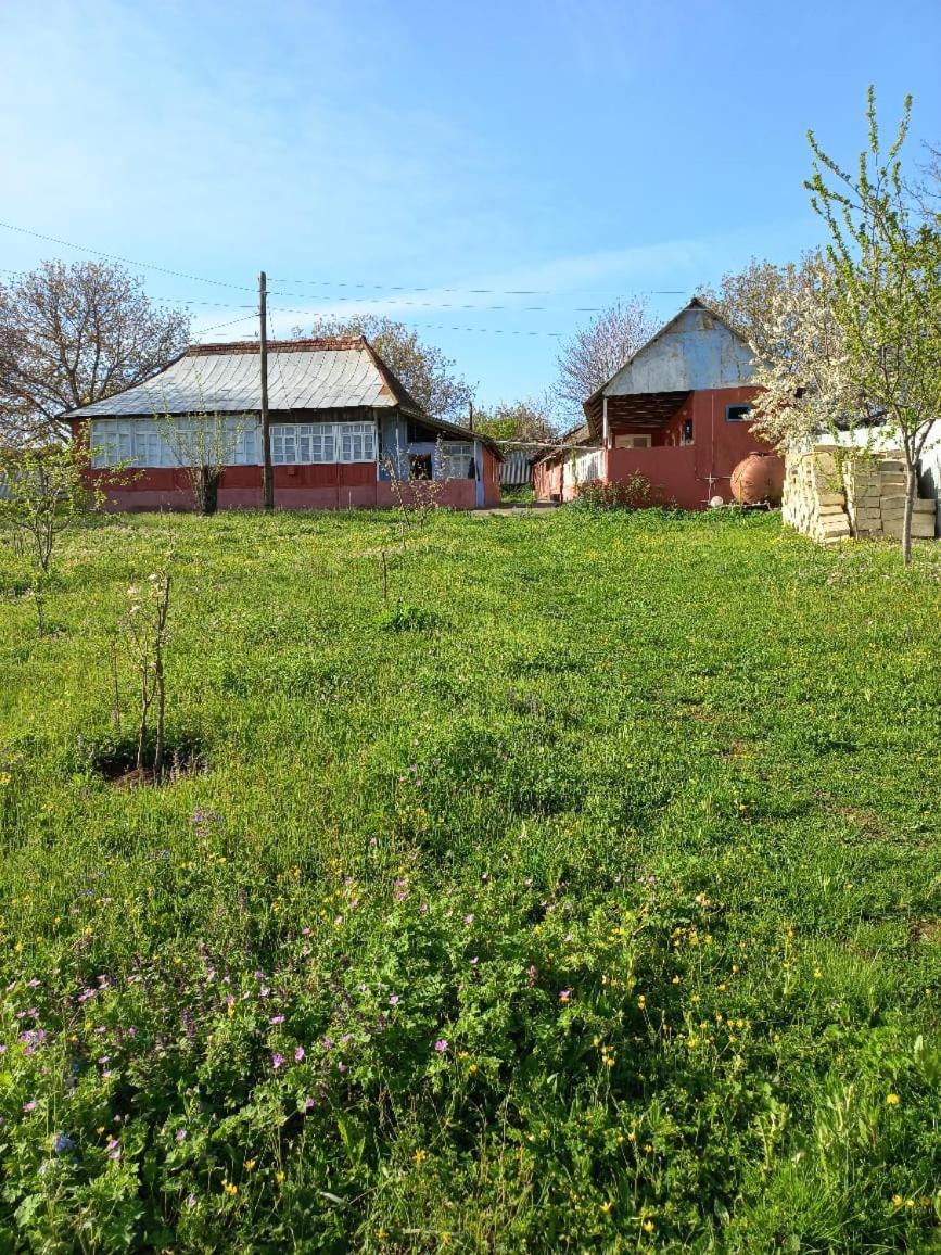 Ismayilli Halal Family Guest House, Ailəvi Bag Evi, Vacation House