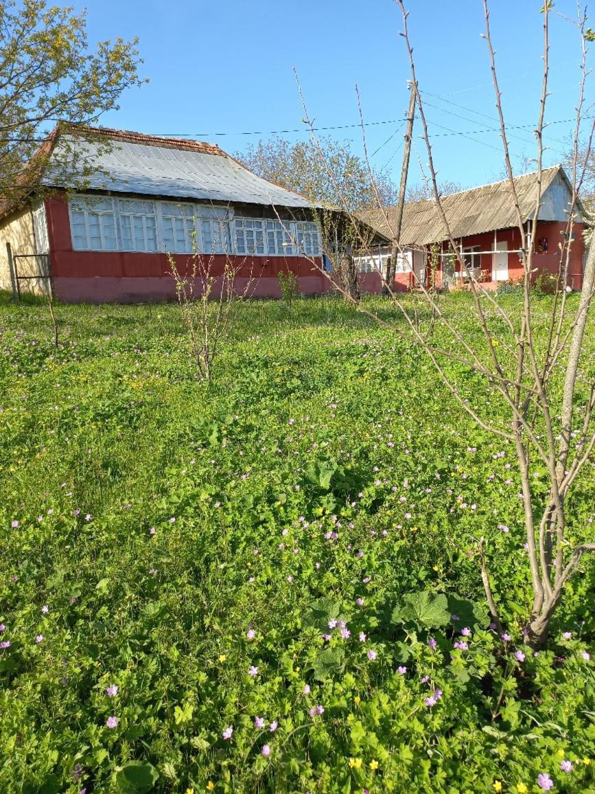 Ismayilli Halal Family Guest House, Ailəvi Bag Evi, Vacation House