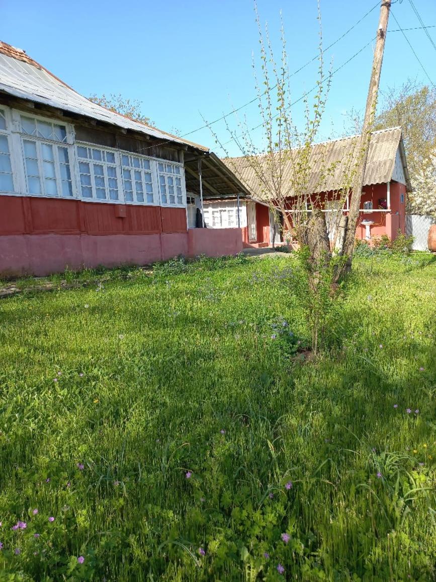 Ismayilli Halal Family Guest House, Ailəvi Bag Evi, Vacation House