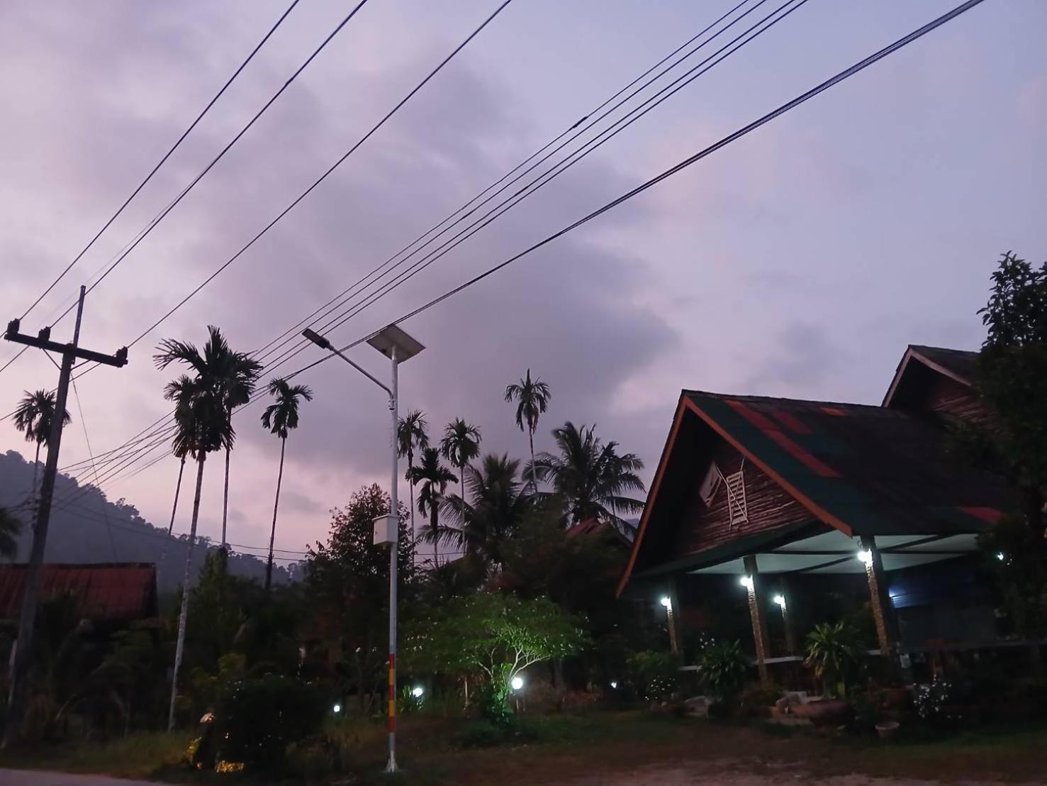 Bamboo House