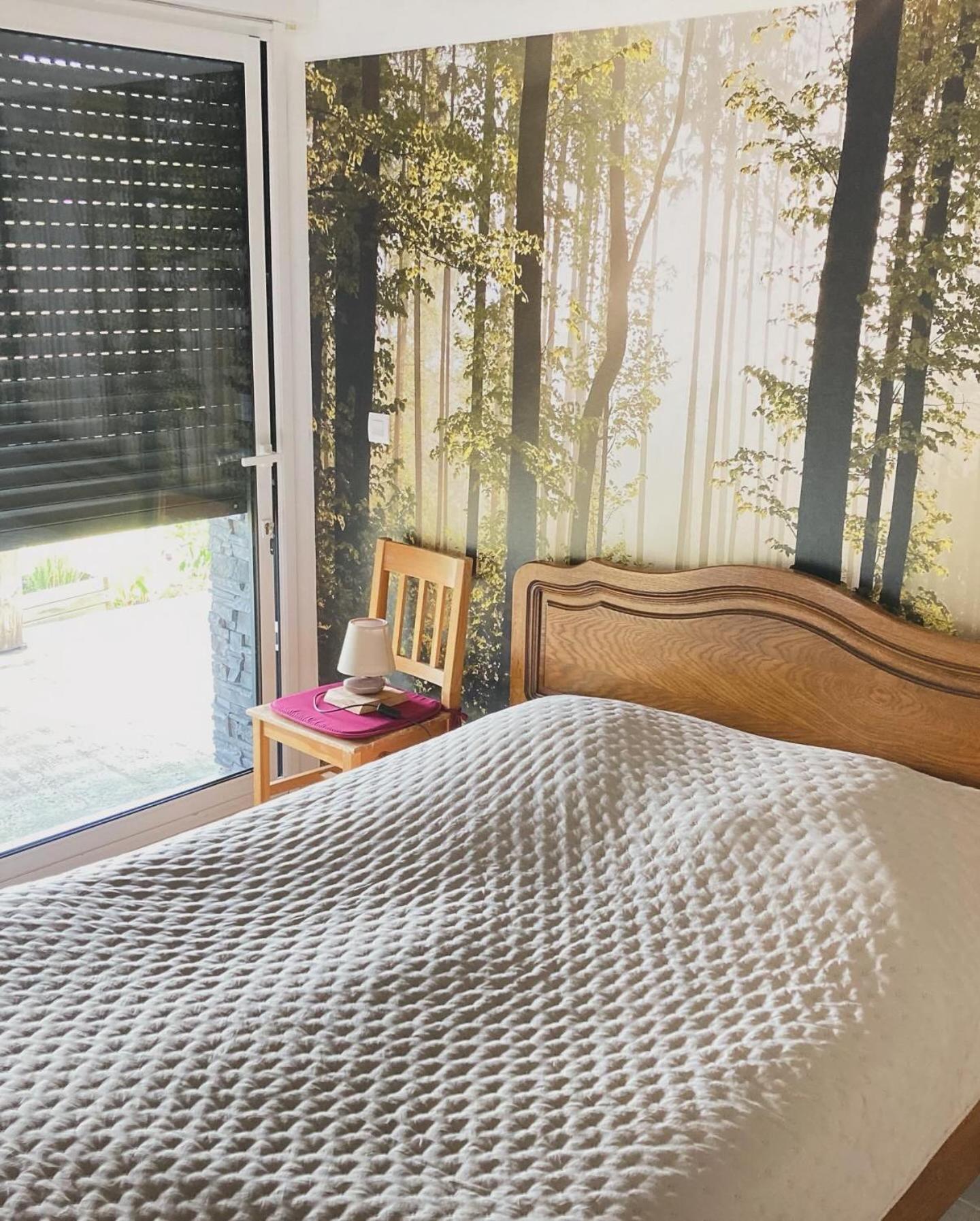 Chalet bois au calme, en lisière de forêt, balcons, sentiers balades Gérardmer & Alsace 