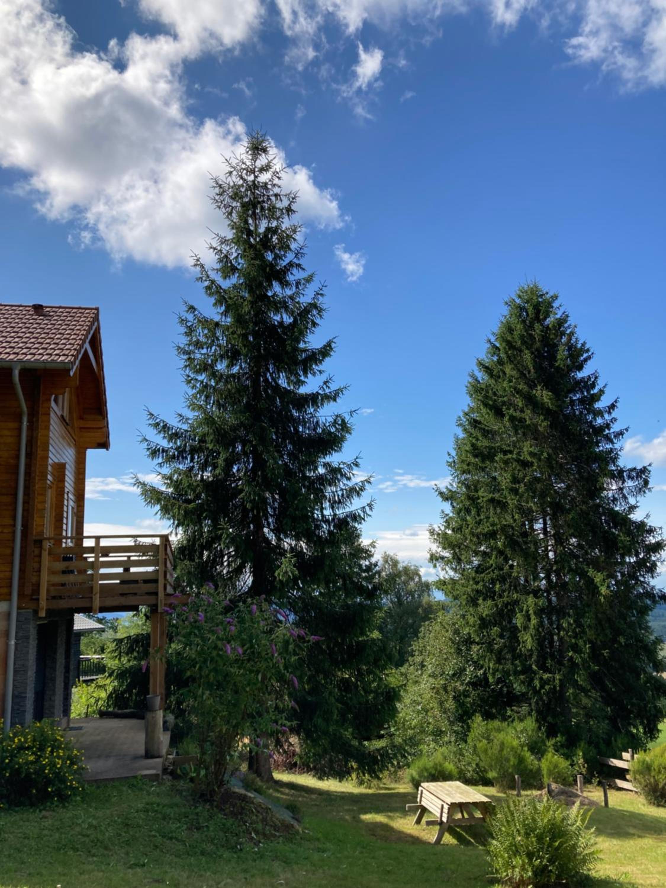 Chalet bois au calme, en lisière de forêt, balcons, sentiers balades Gérardmer & Alsace 