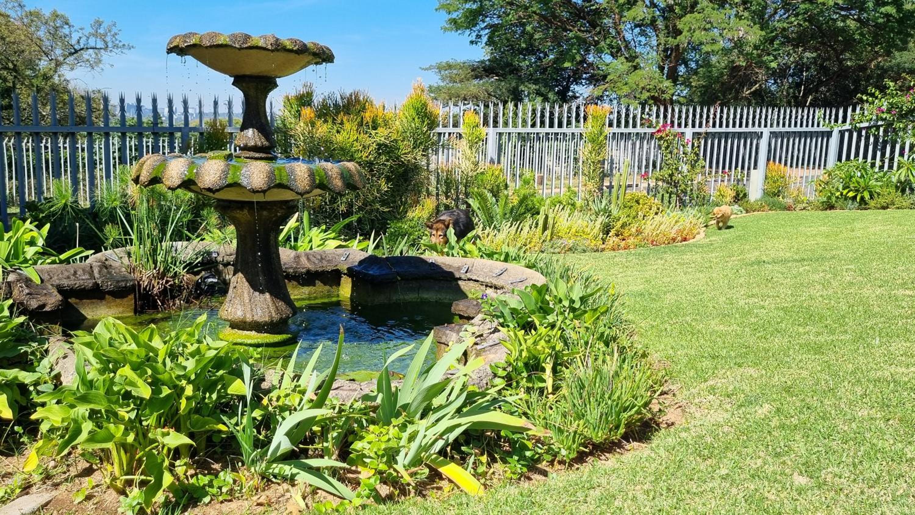 Studio in Bryanston