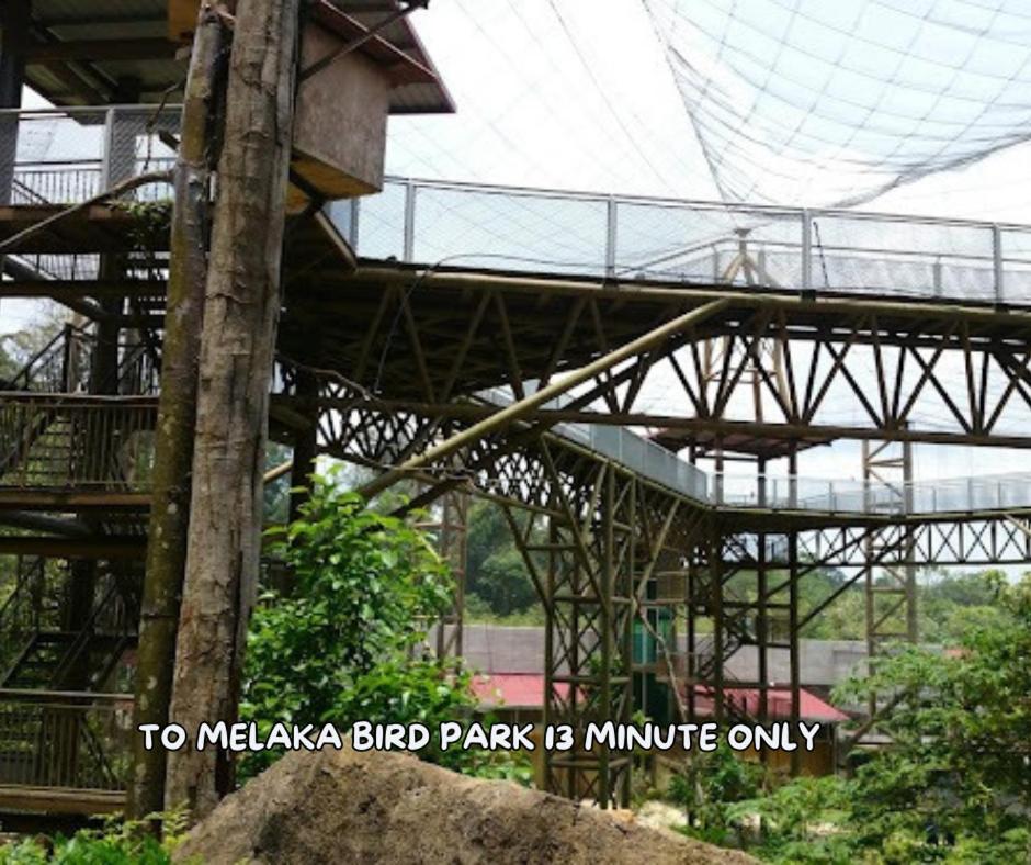 Umar's Lodge photo 5
