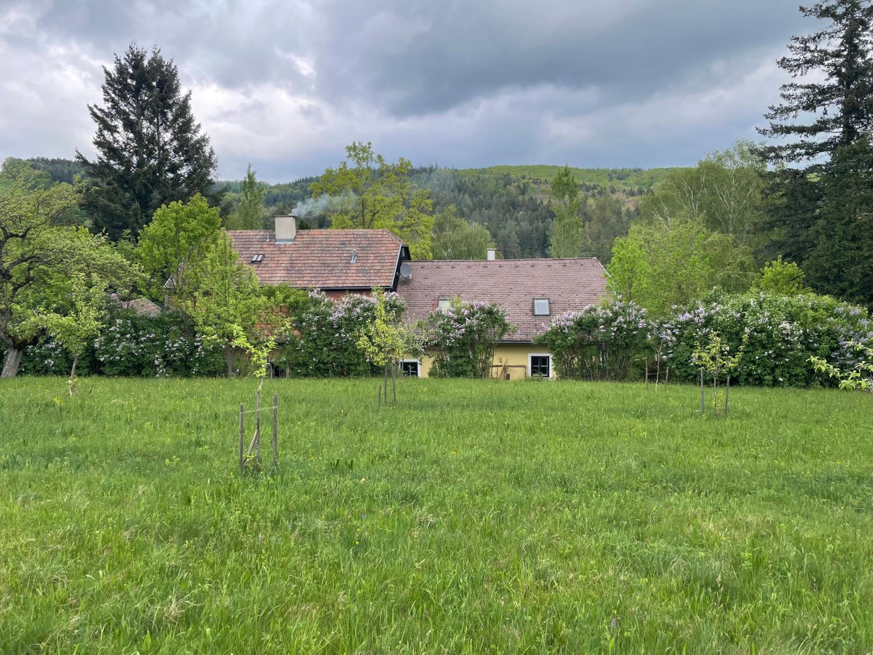 bed&breakfast im Grünen nah an Wien