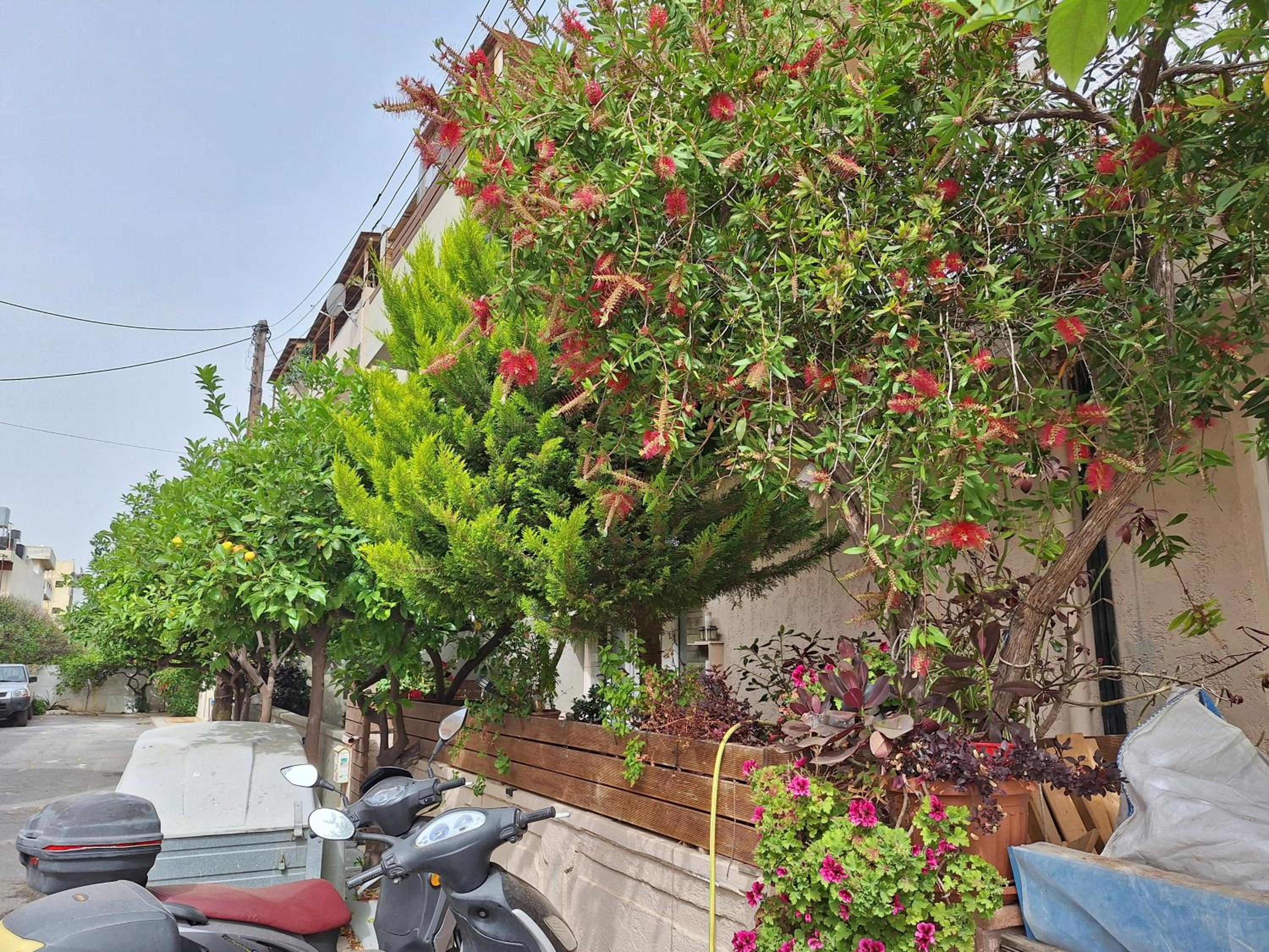 Photo 17