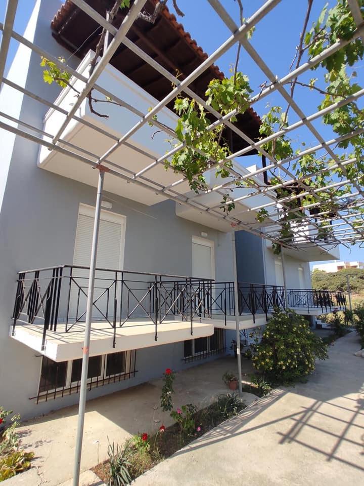 Sunny studio and apartment near the sea