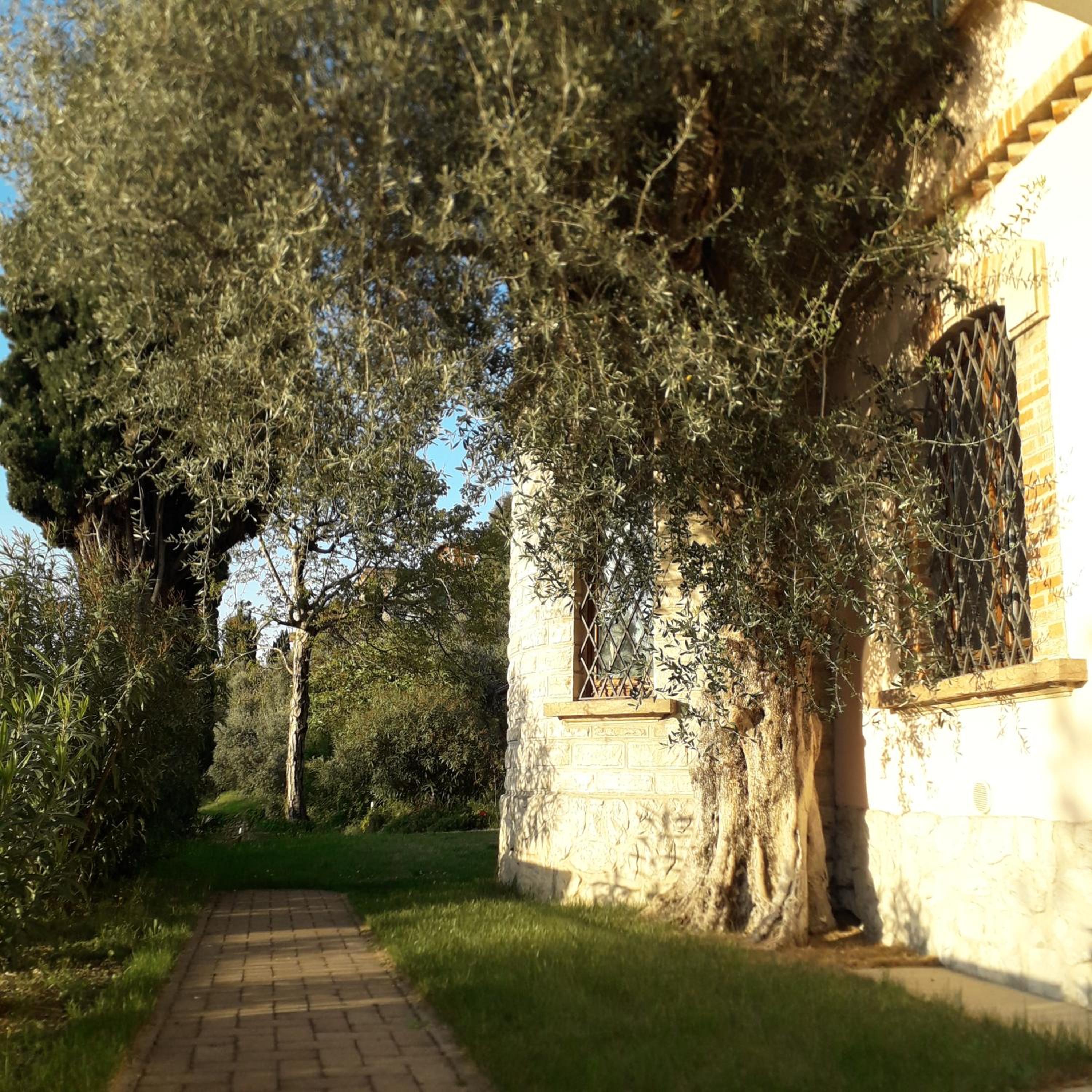 Photo 81