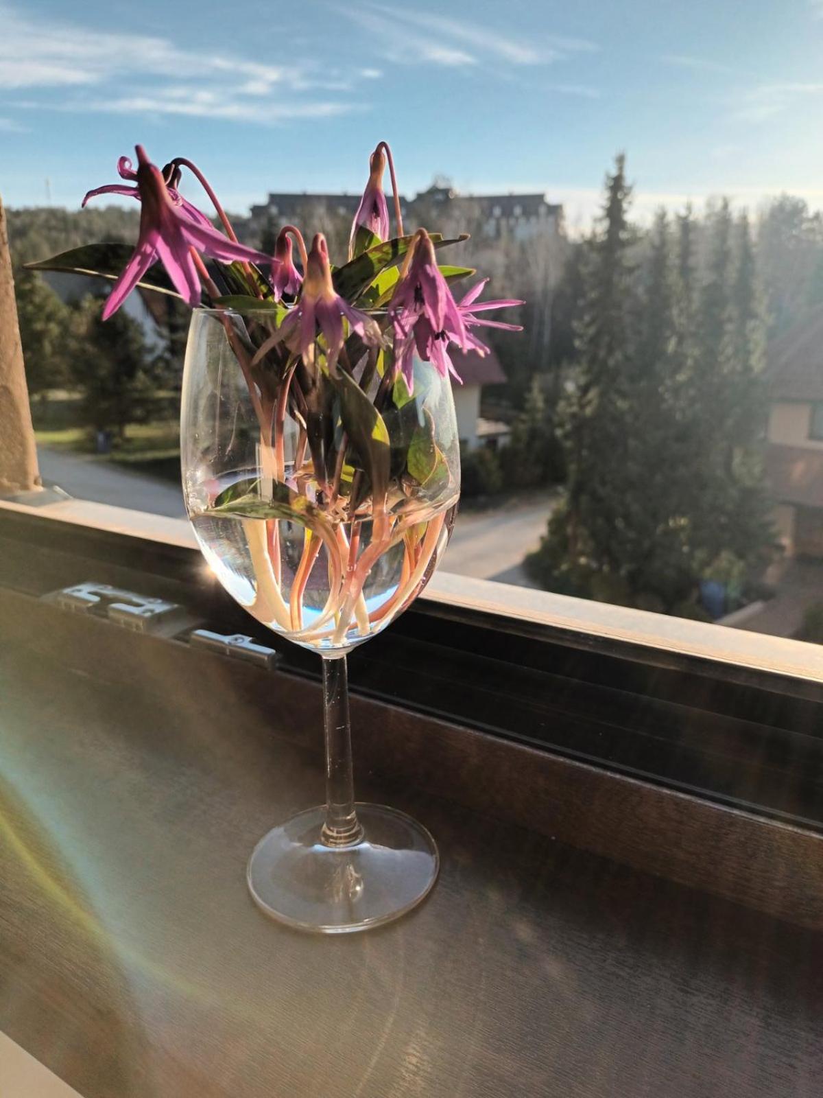 Fiore Apartman view 3