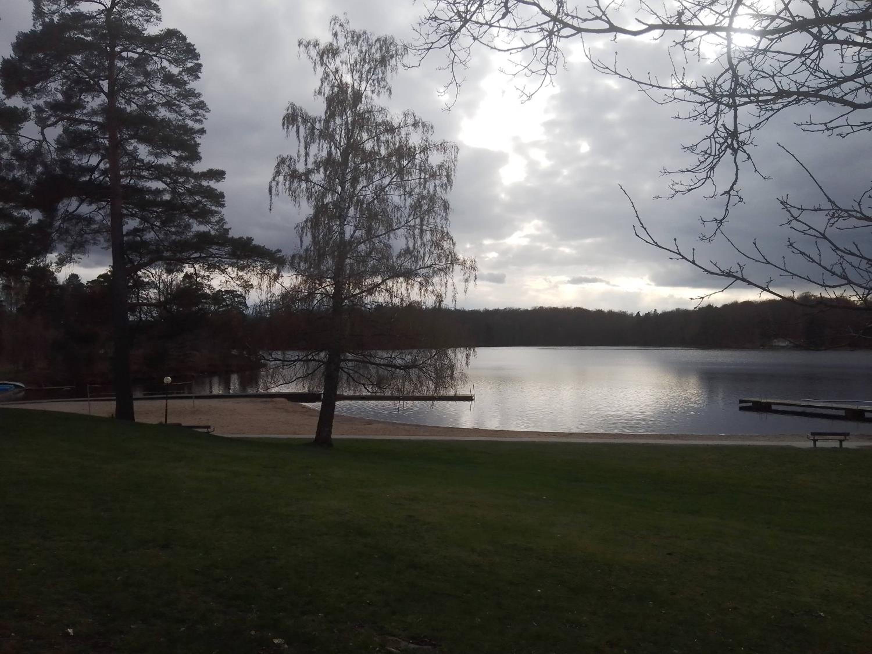 Photo 41