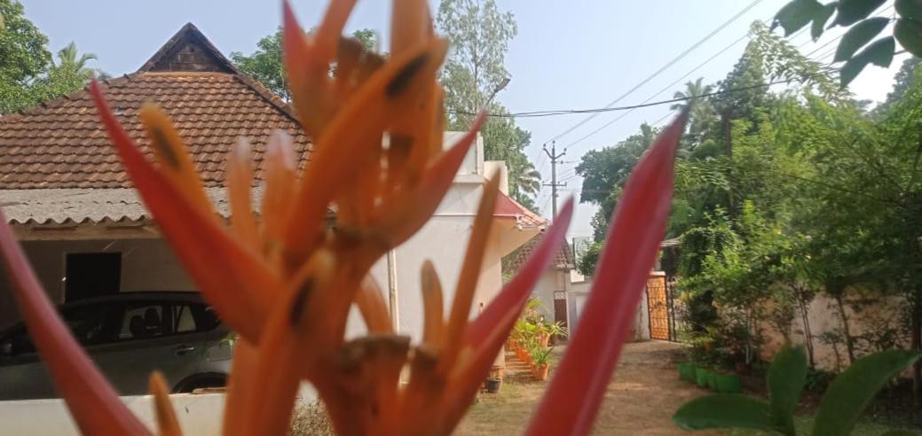 Athichans Homestay