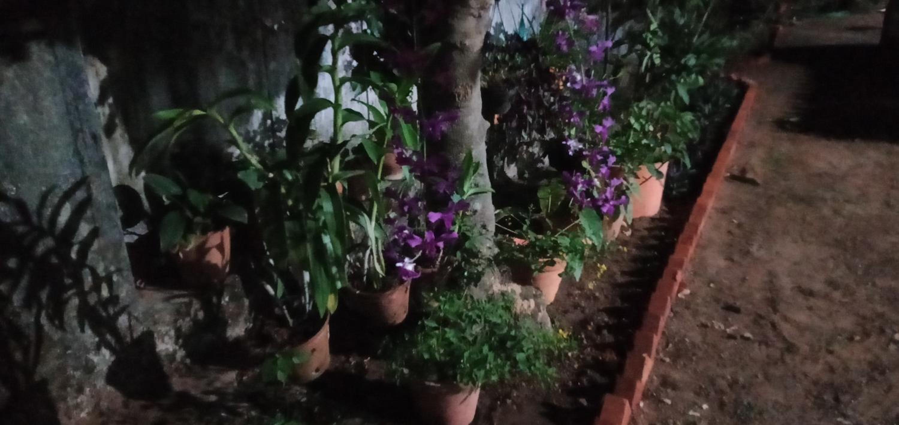 Athichans Homestay