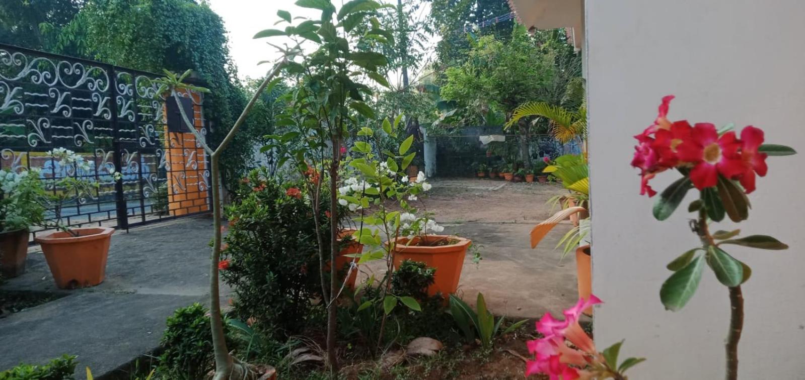 Athichans Homestay