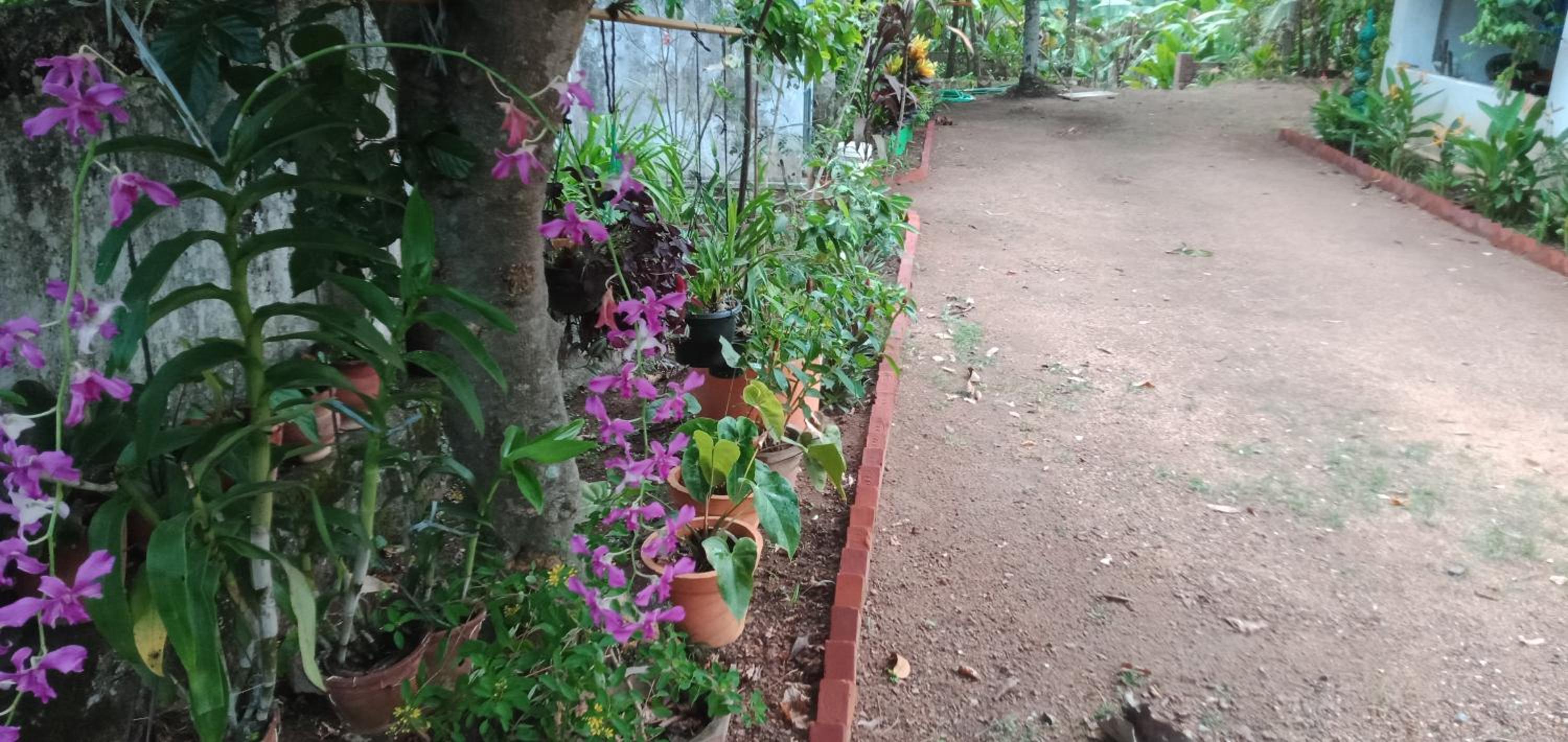 Athichans Homestay