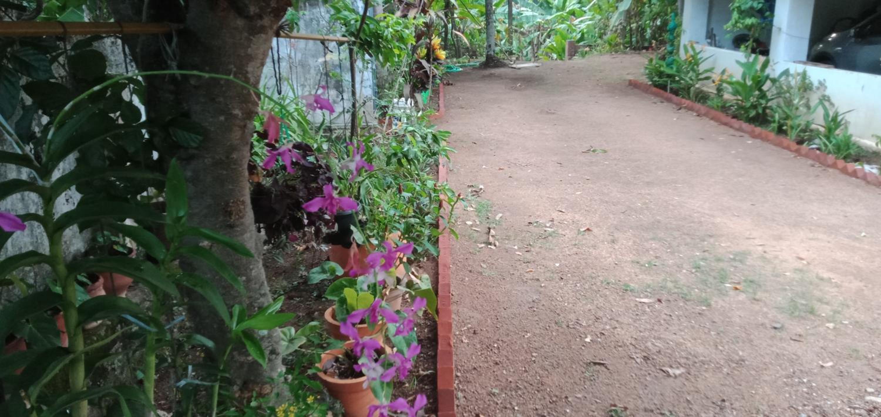 Athichans Homestay