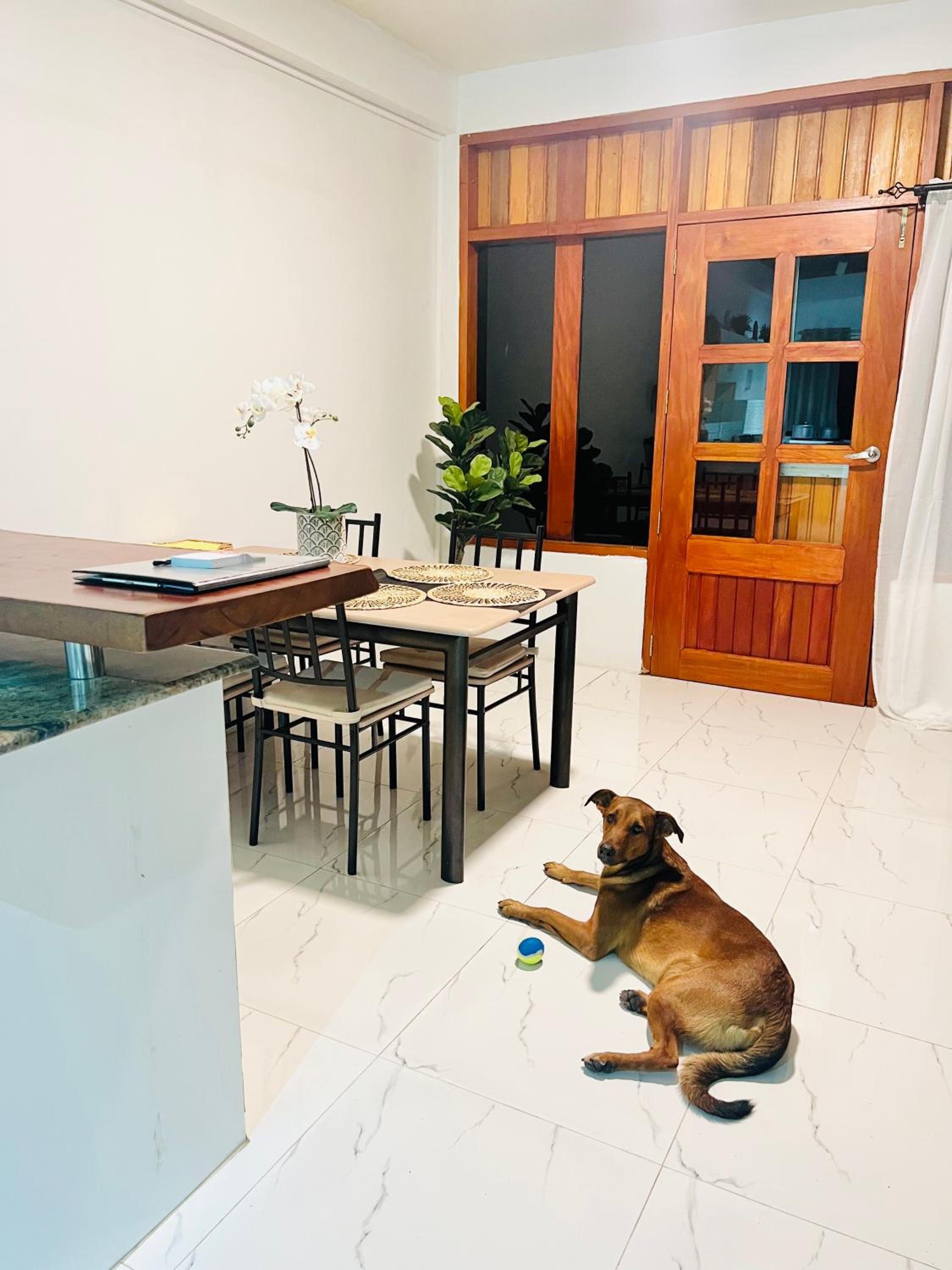 “Marley’s Home“ - view 22