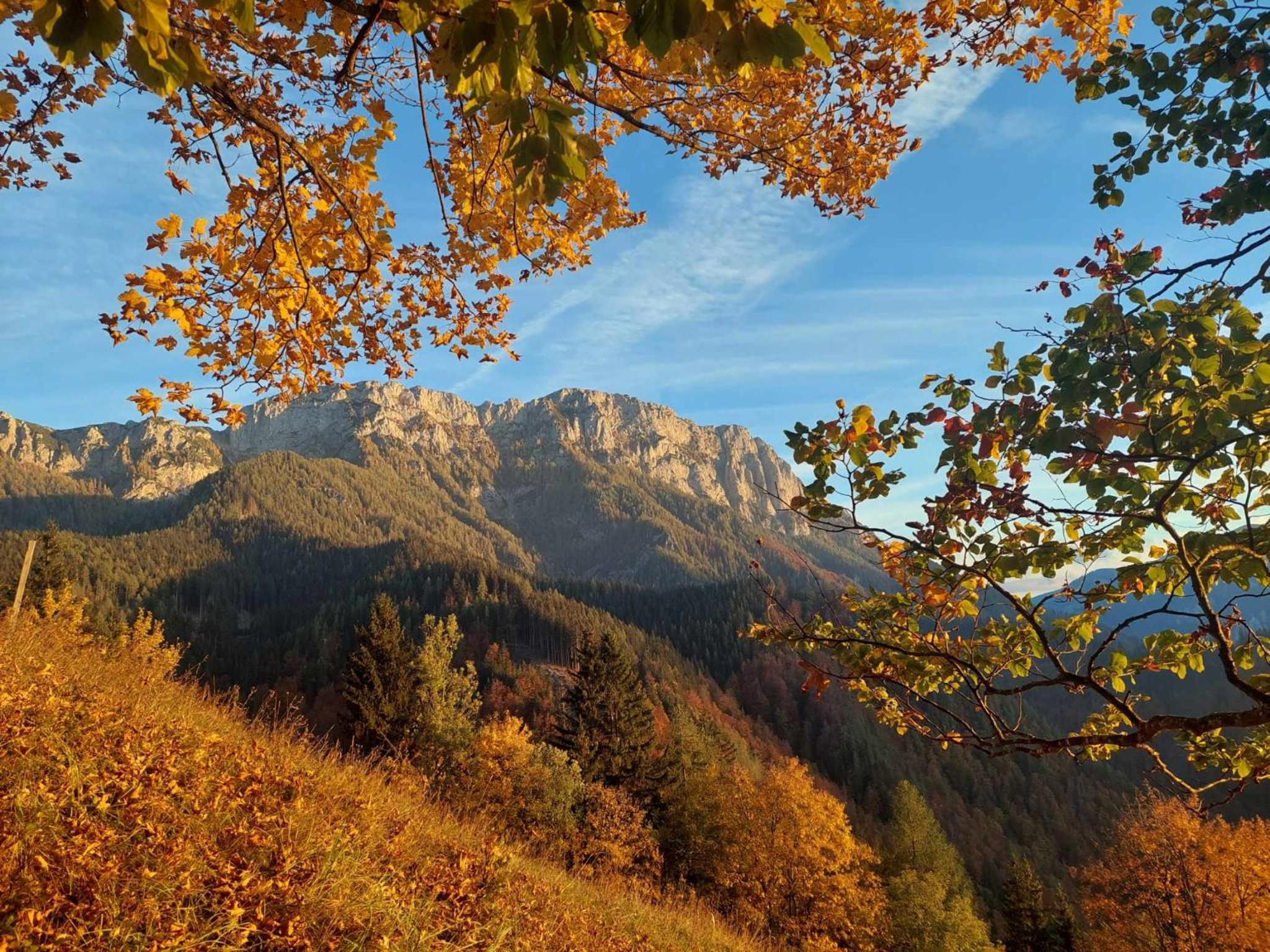 Cottage Osojnik - Alpine escape with Wellness