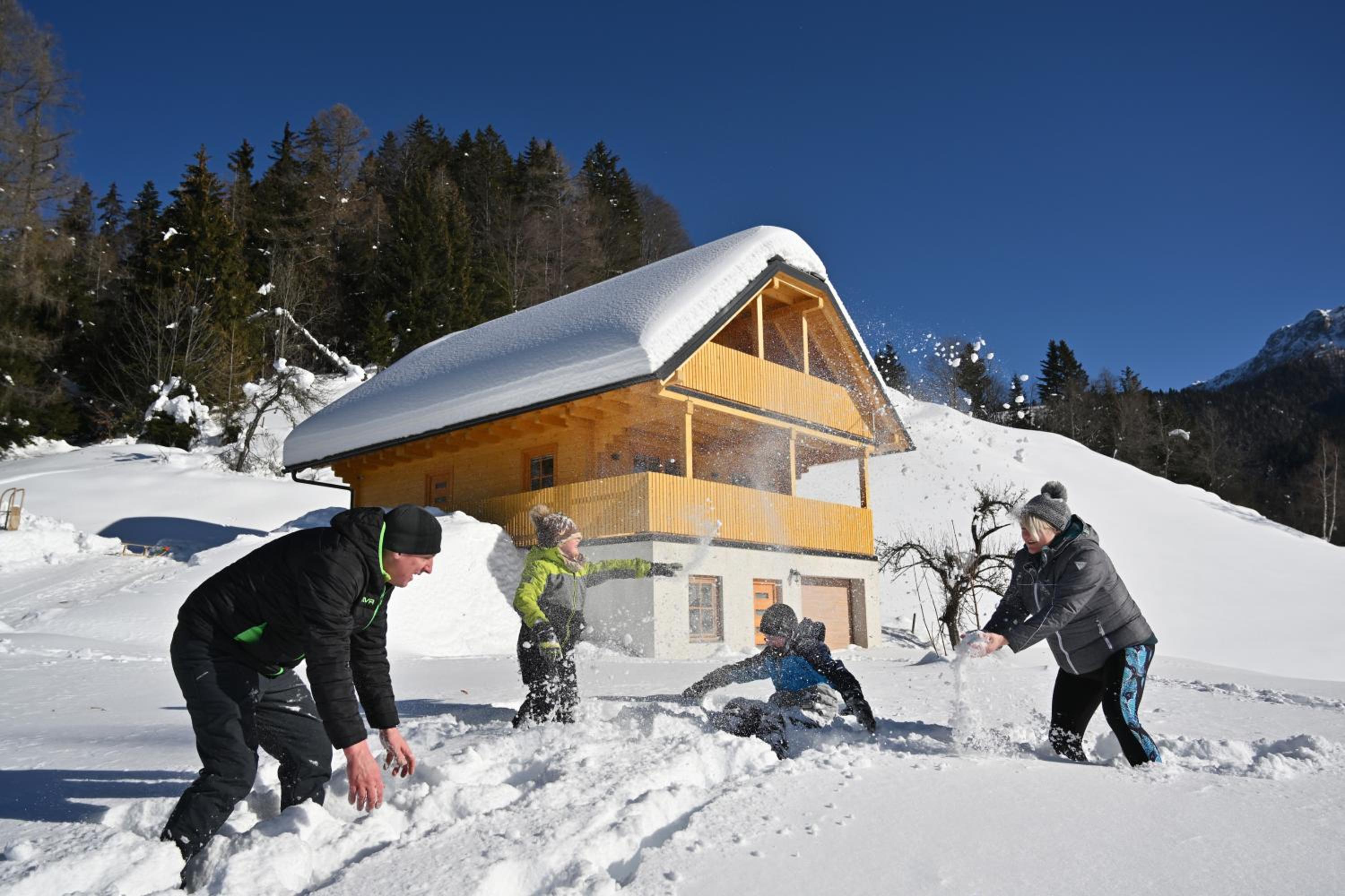 Cottage Osojnik - Alpine escape with Wellness
