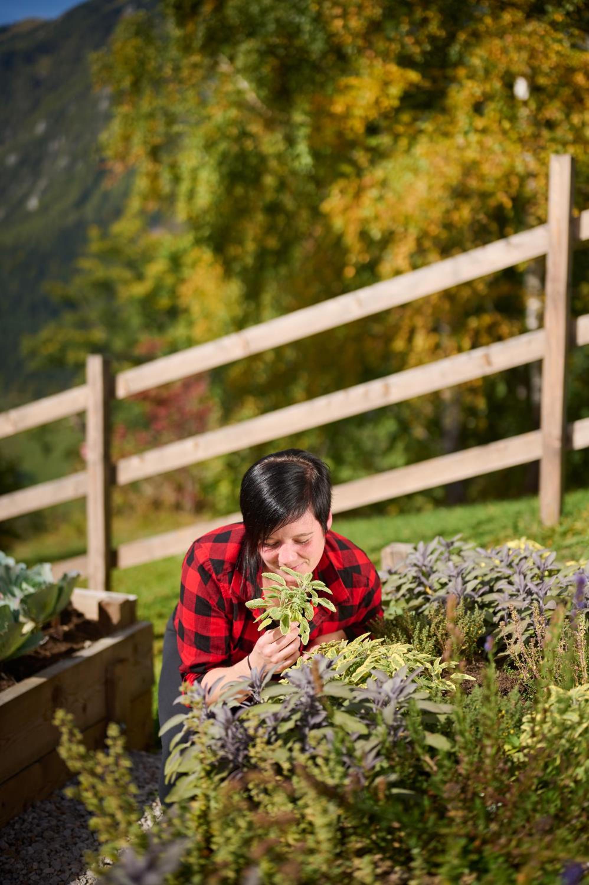 Cottage Osojnik - Alpine escape with Wellness