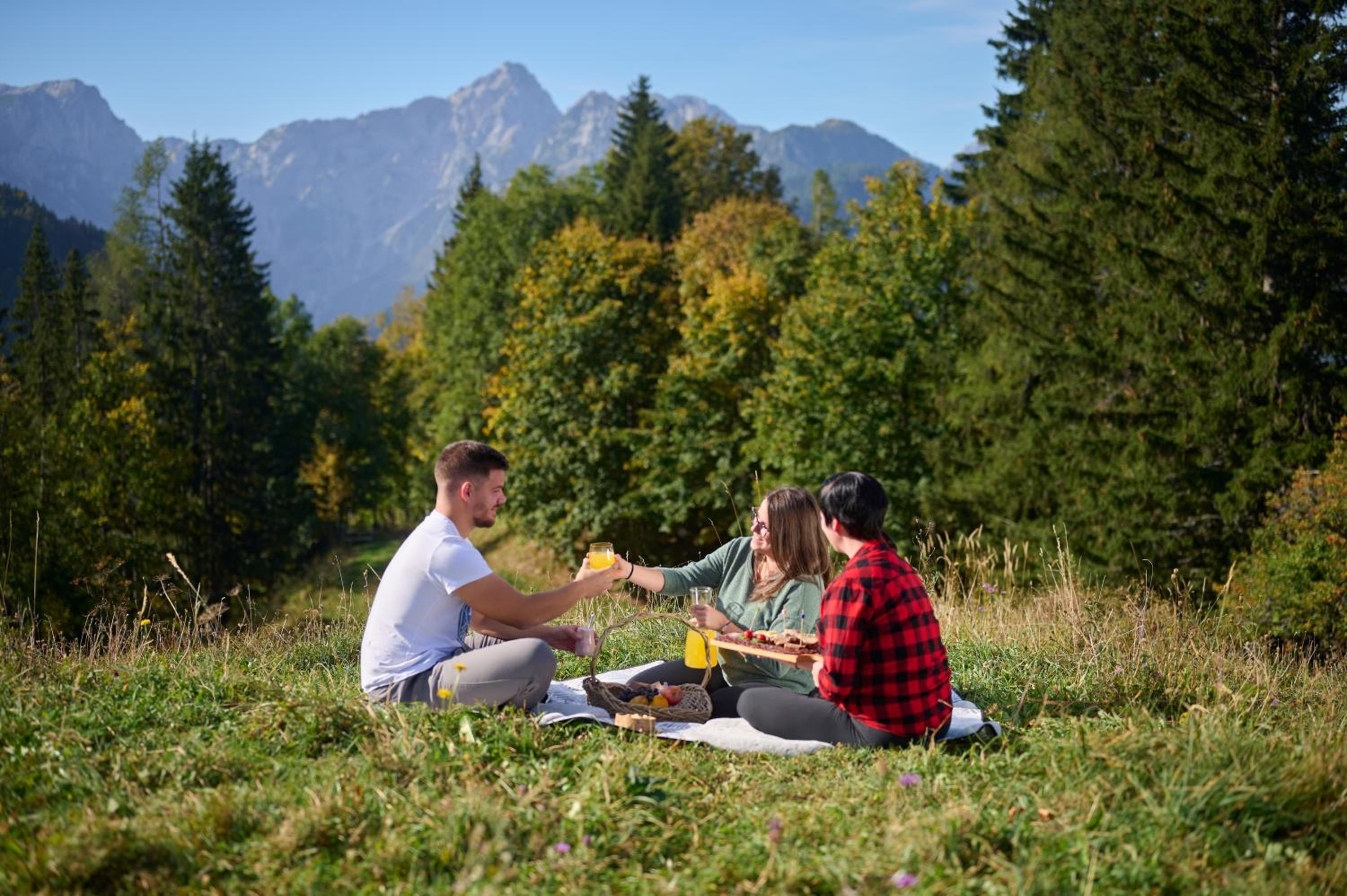 Cottage Osojnik - Alpine escape with Wellness