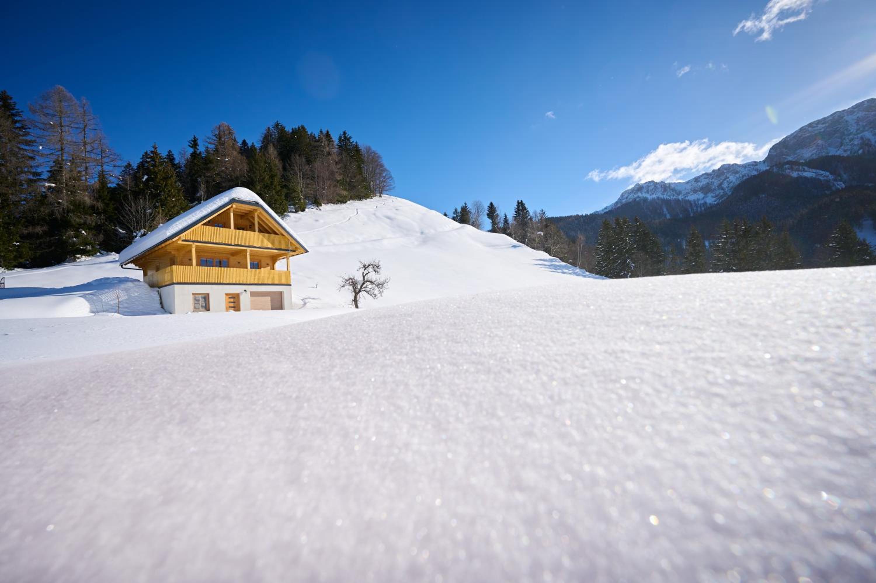 Cottage Osojnik - Alpine escape with Wellness