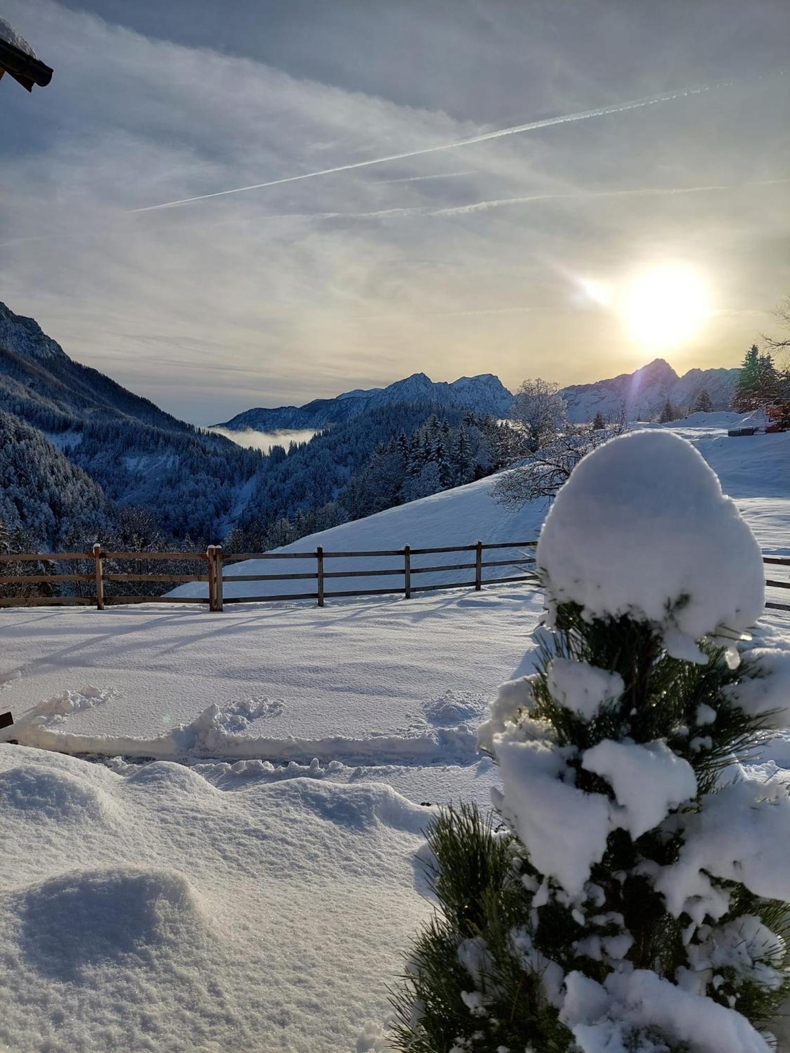 Cottage Osojnik - Alpine escape with Wellness