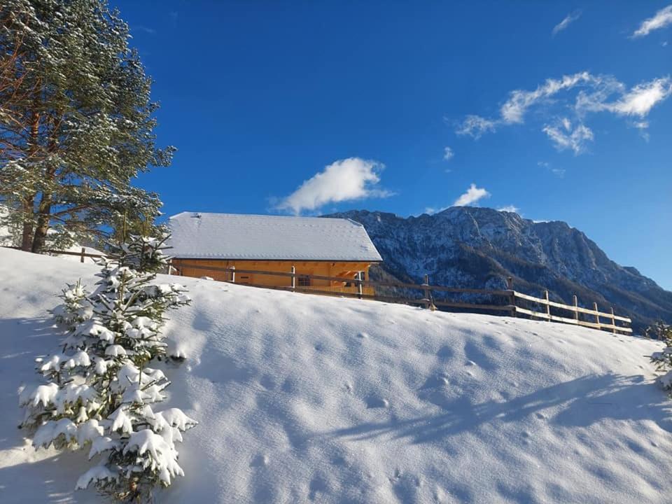 Cottage Osojnik - Alpine escape with Wellness