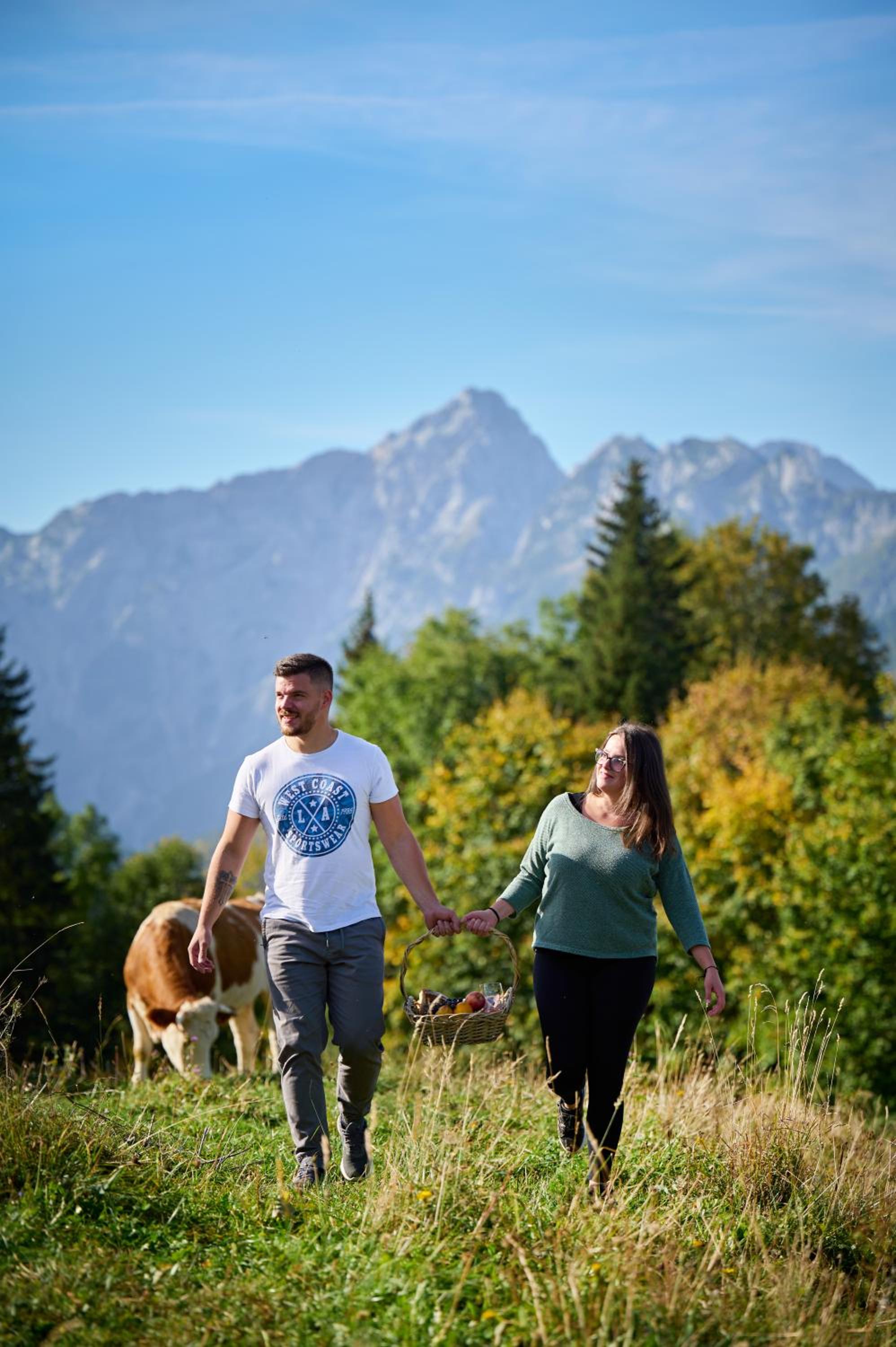 Cottage Osojnik - Alpine escape with Wellness