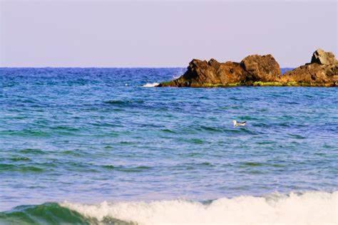 Golden Luxury on the Sand, Chernomoretz, Bulgaria