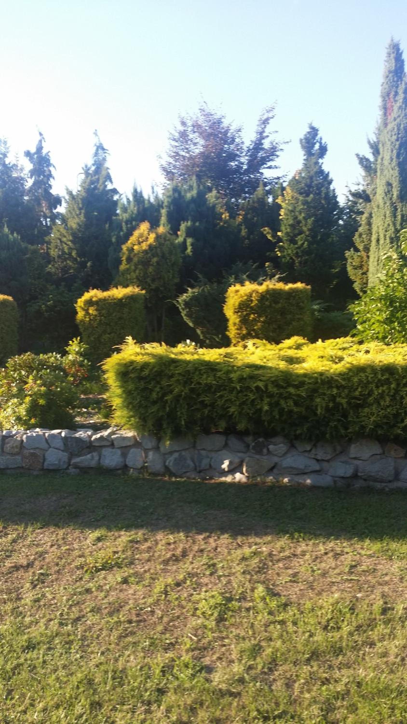 Photo 59