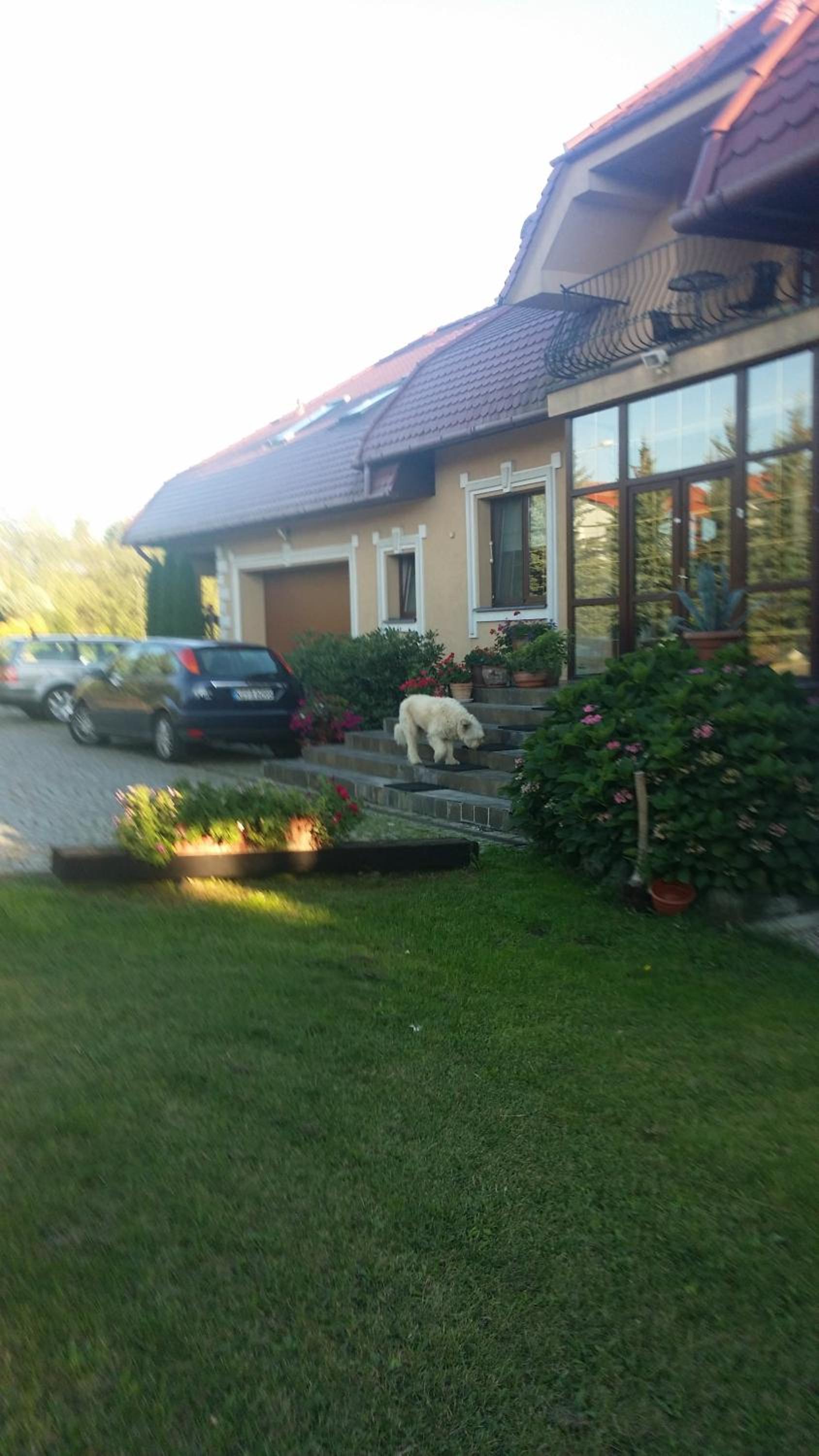 Photo 61