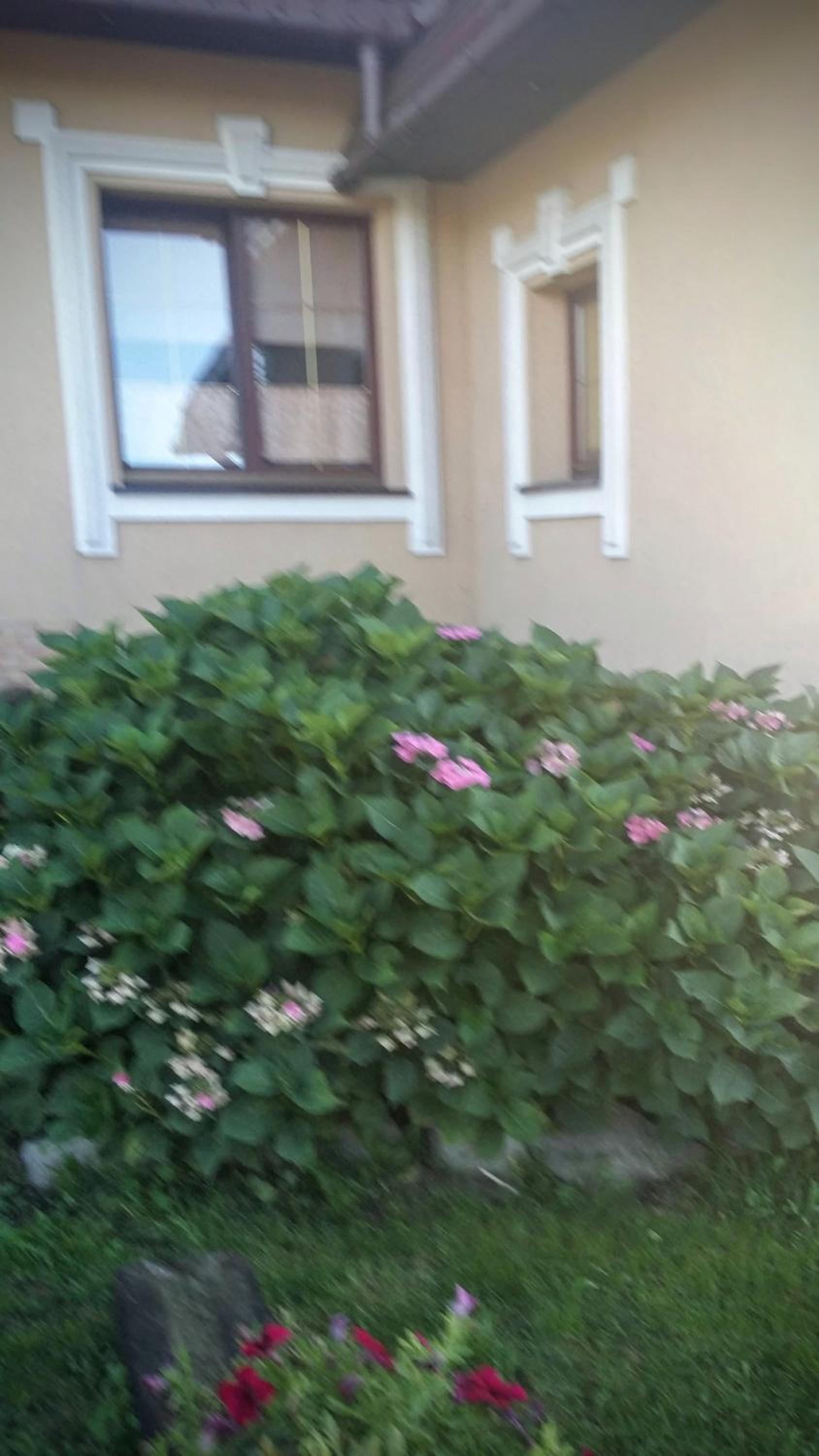 Photo 64