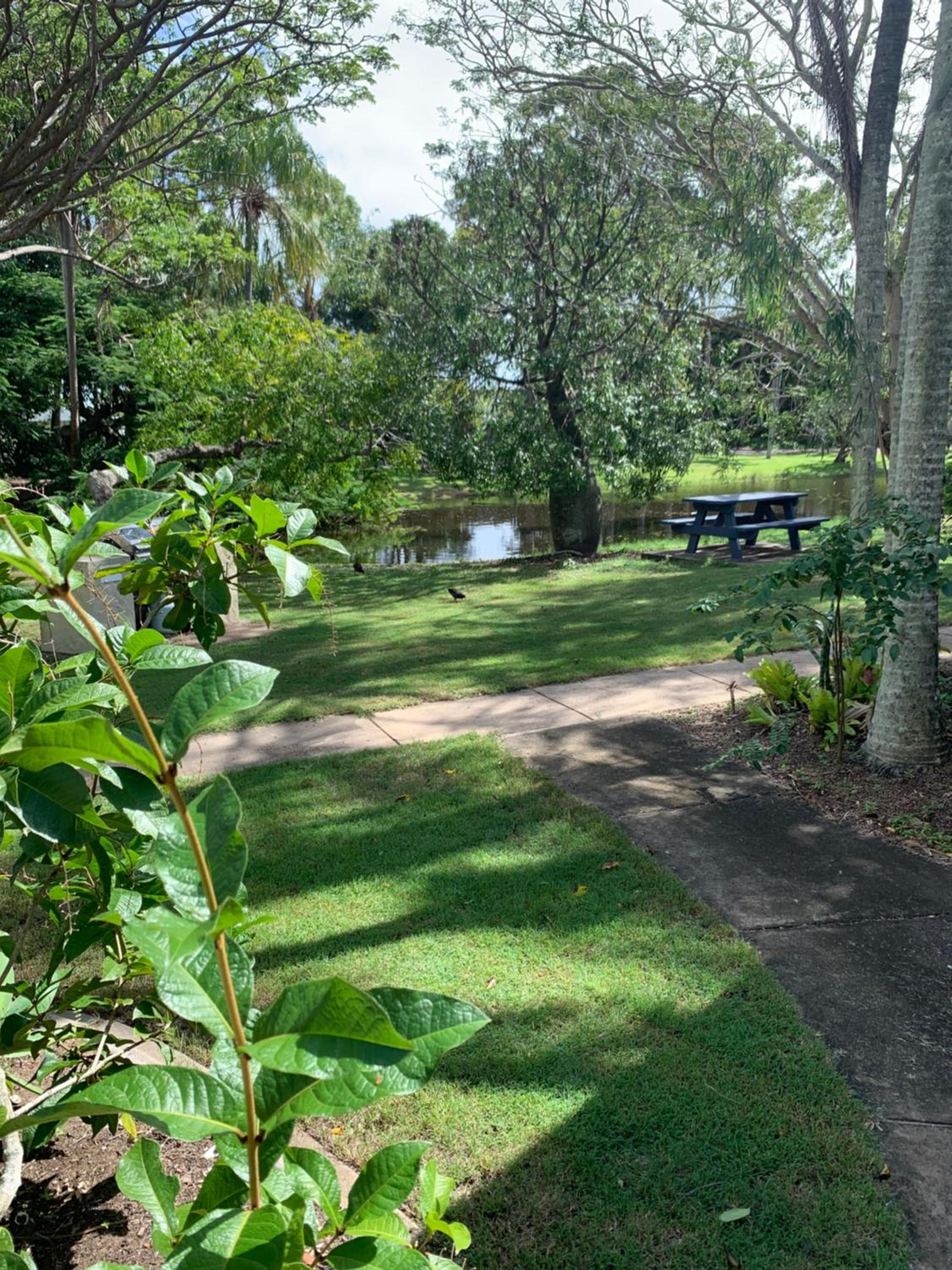 Turtle Cove Lake Front Cabin 300m To Beach