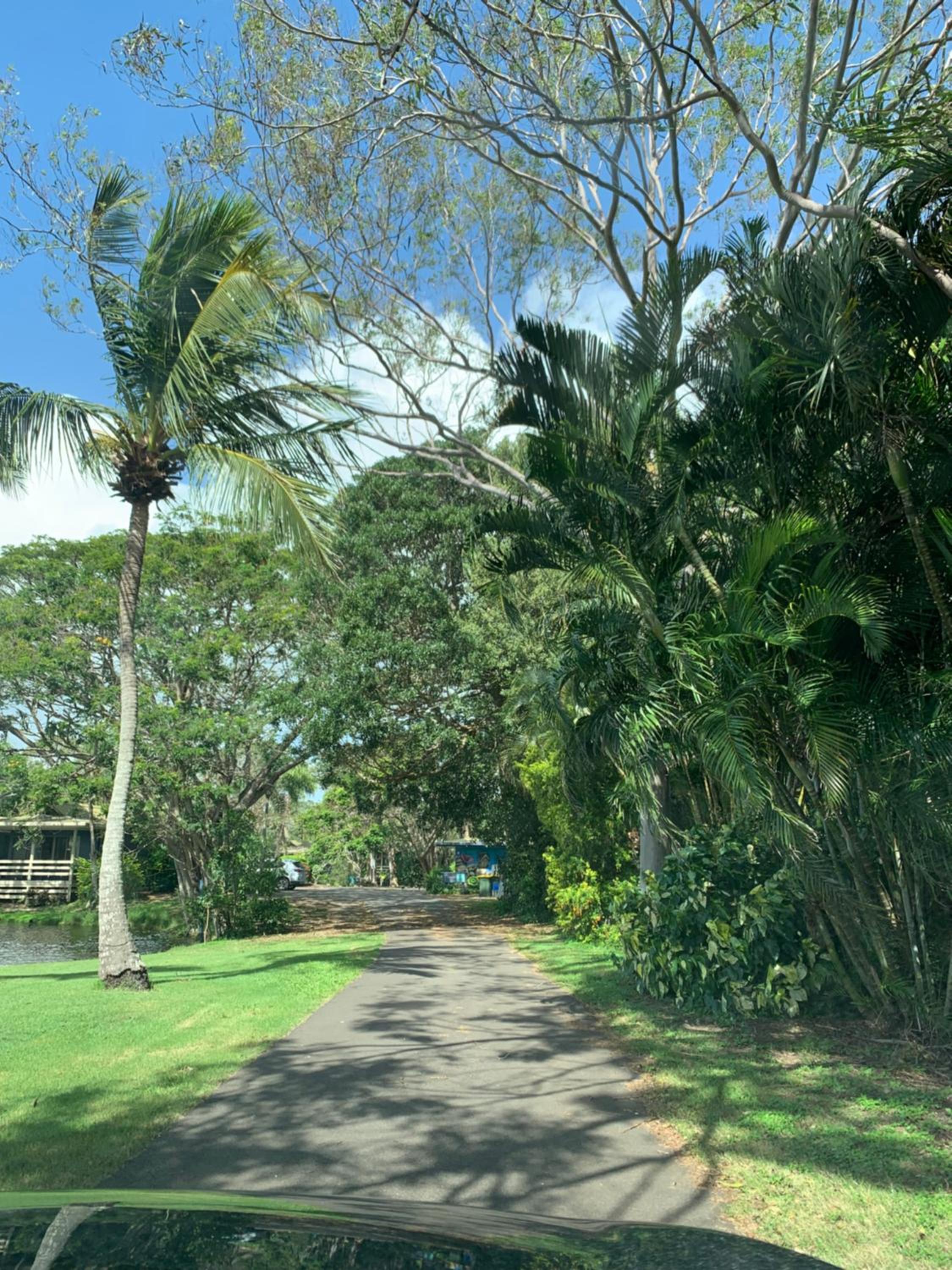 Turtle Cove Lake Front Cabin 300m To Beach