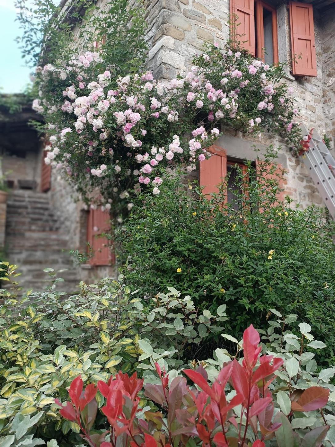 Photo 41